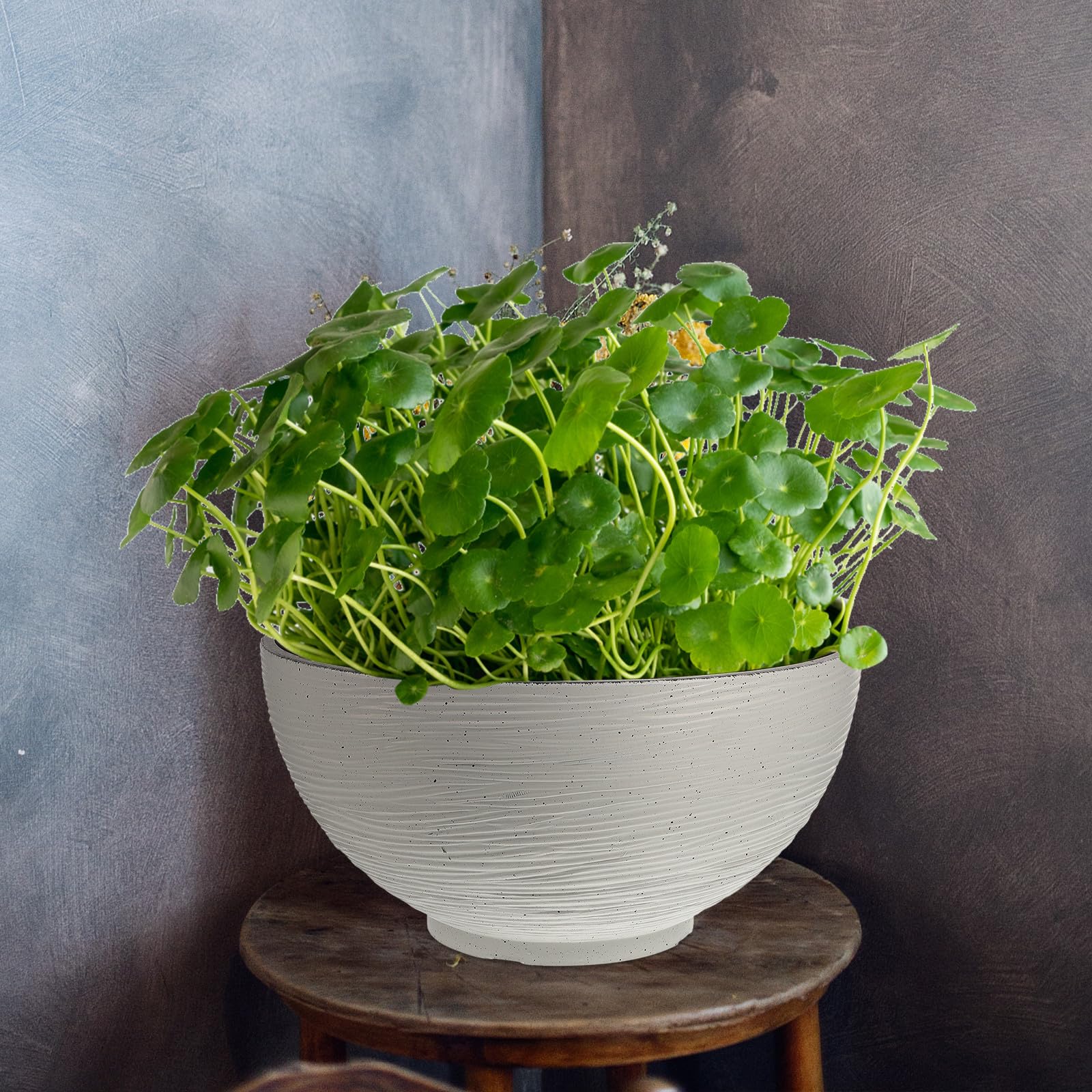 PACKOVE Pot de Fleur Intérieur Blanc Grand de Plantation Hydroponique pour Lotus et Nénuphar Jardinière Décorative Légère pour Balcon et Bureau Couleur Aléatoire