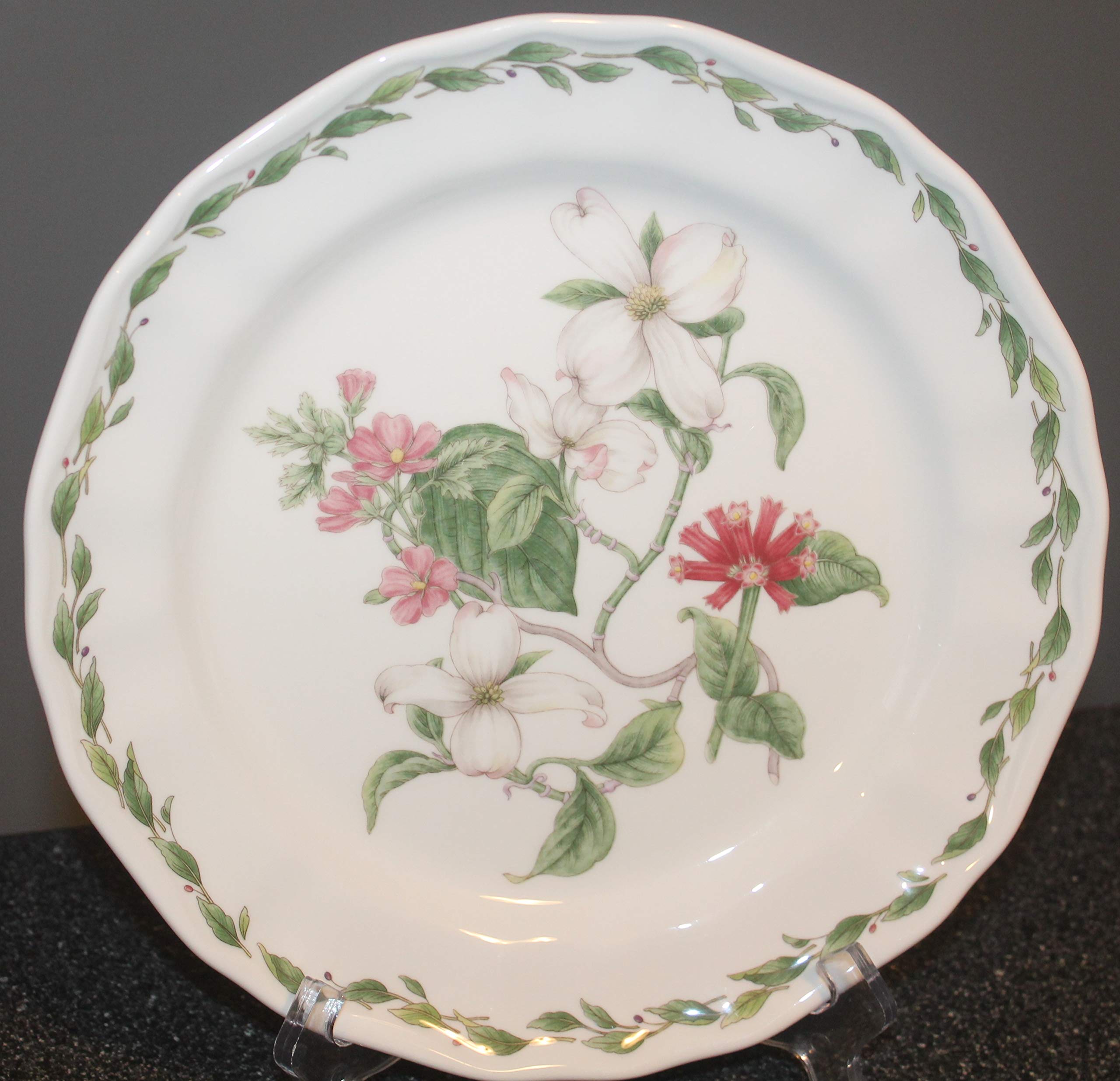 Amazon.com | Noritake Gourmet Garden Dinner Plate ~ Dogwood ~ Mint