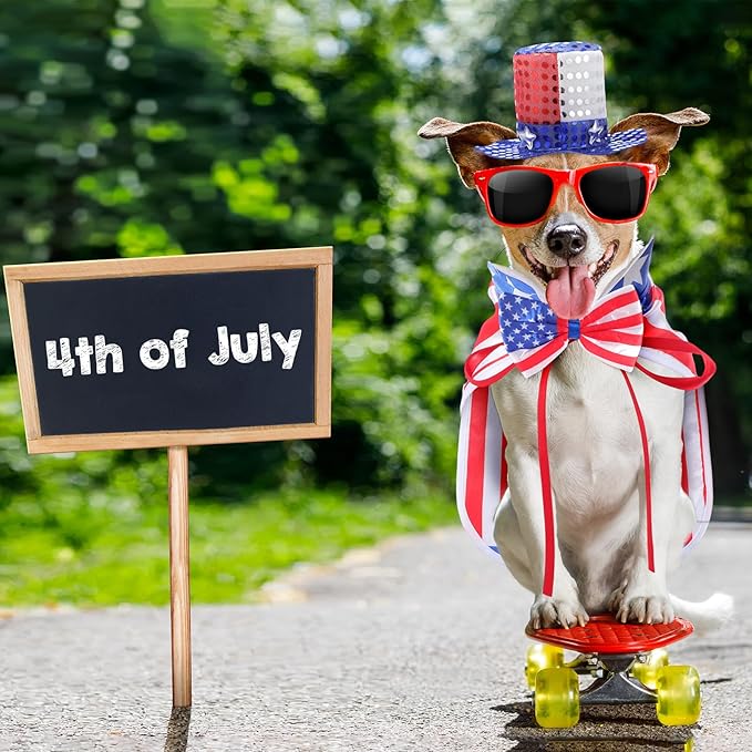Conjunto de Disfraz Patriótico para Perro con Sombrero, Corbata y Capa miniatura 7