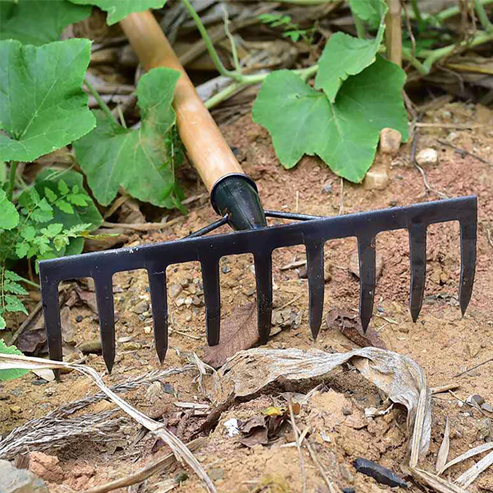 Rastrello da Giardino in Ferro a 11 Denti per Diserbo Robusto Costruzione Resistente per Lavori di Giardinaggio e Coltivazione