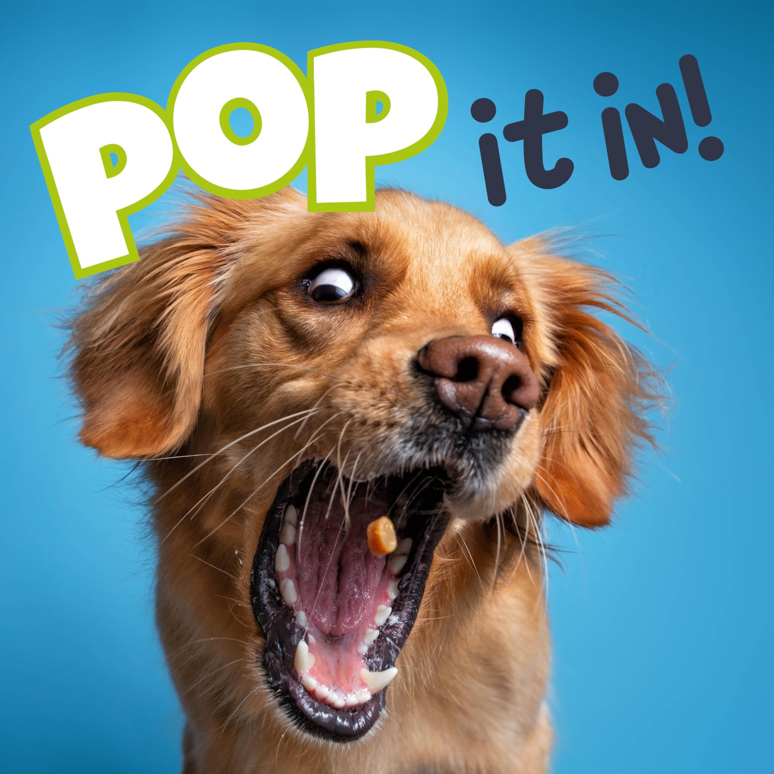 Fuzzl Treat Pops Natural Dog Treats Variety Pack 6 x 100g, Soft Baked Grain Free Dog Chews Biscuits - Image 3