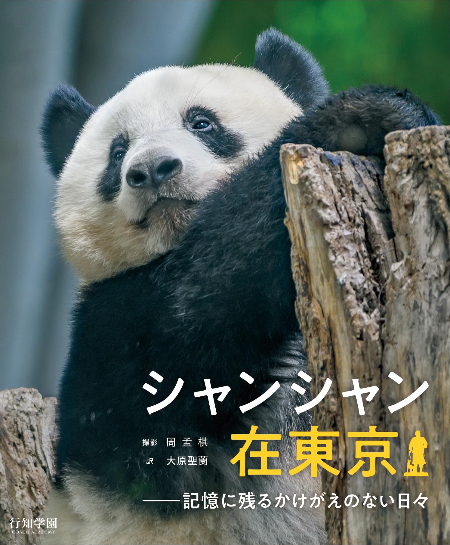 Amazon.co.jp: シャンシャン在東京――記憶に残るかけがえのない日々