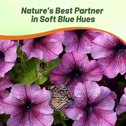 Miniatura 5 de Outsidepride Flores de jardín de venas de ciruela de petunia Easy Wave para colgar cestas, macetas, contenedores, camas, 30 semillas