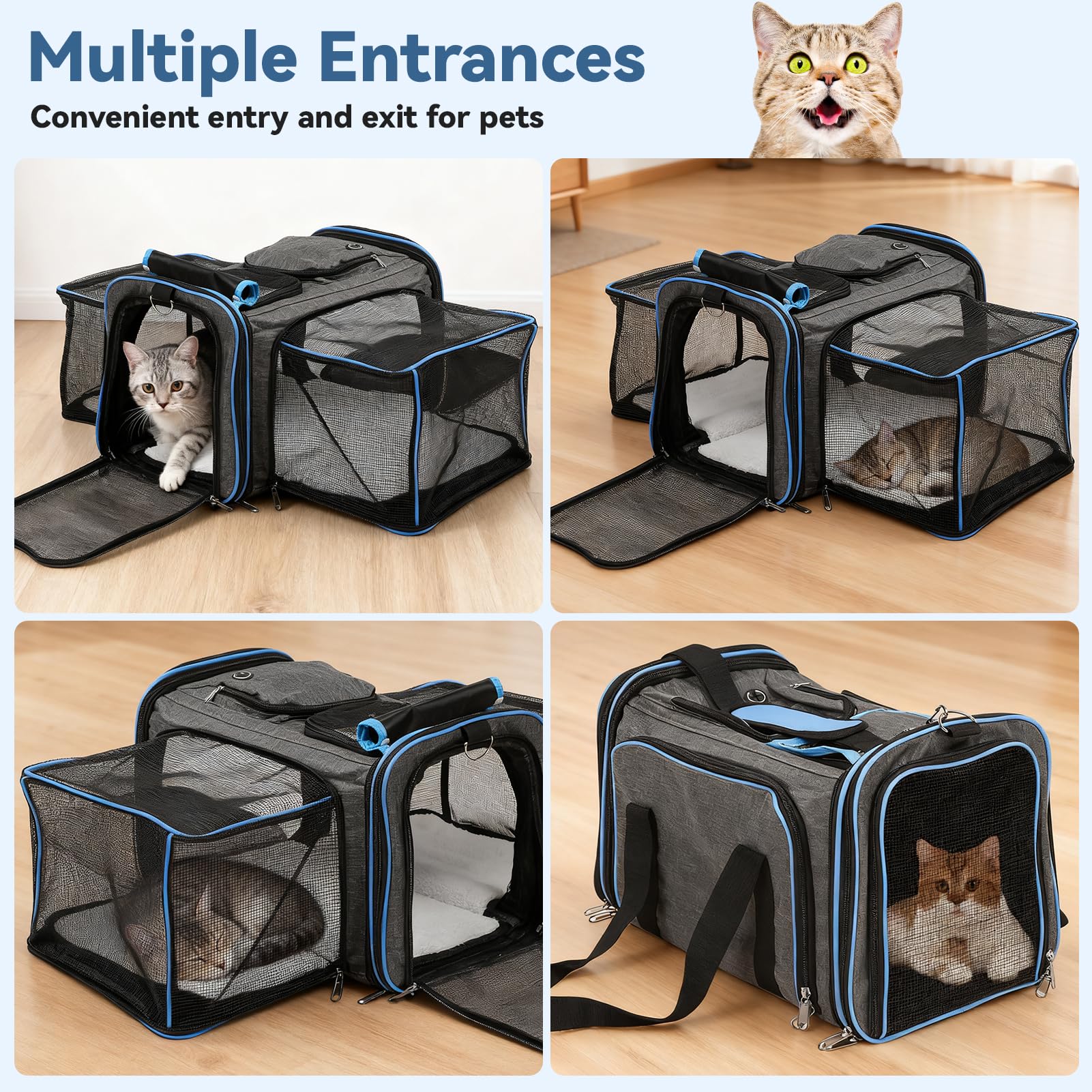 Erweiterbar Hunderucksack-Hunderucksack Bis 15kg,Faltbare Katzen Rucksack Mit Innerer Sicherheitsleine Und Haustiermatte,Atmungsaktive Und Leichte Dog Cat Backpack,Grau(Max.15KG)