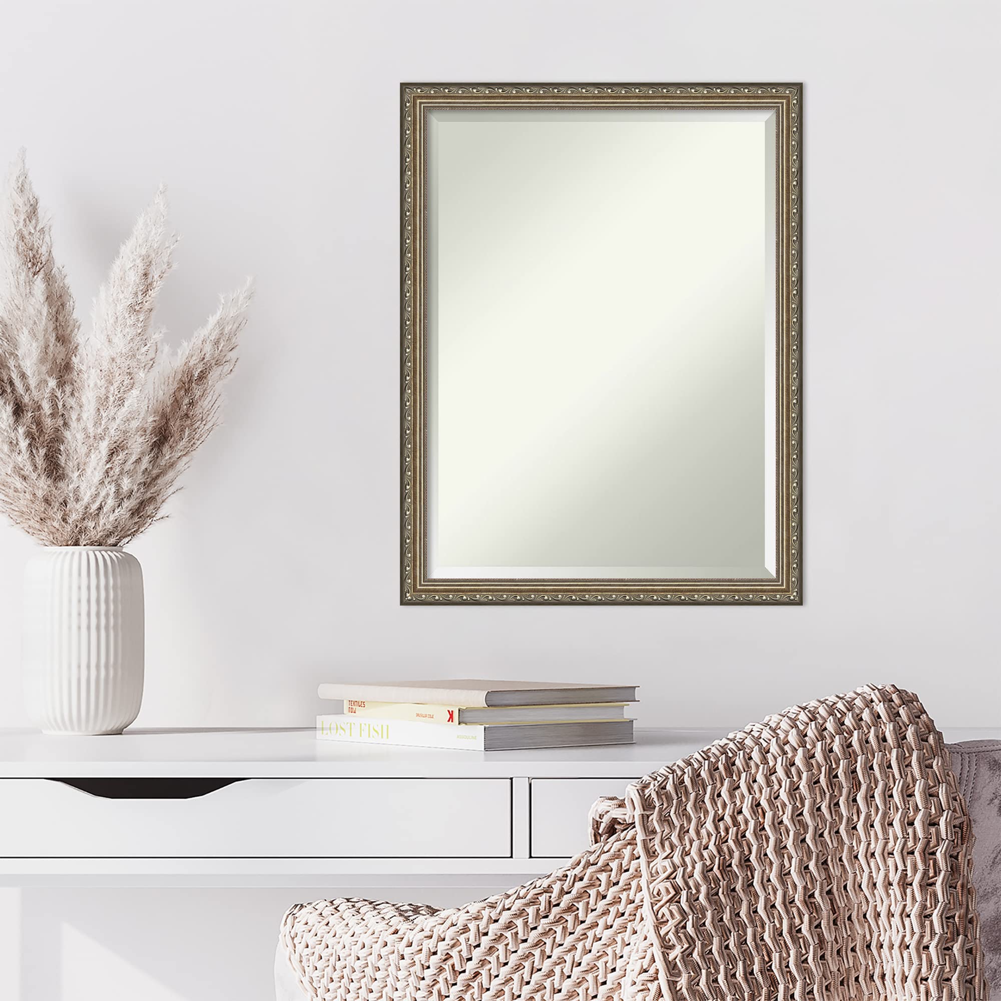 Amazon.com: Amanti Art Silver Wall Mirror 26x20 Parisian Silver