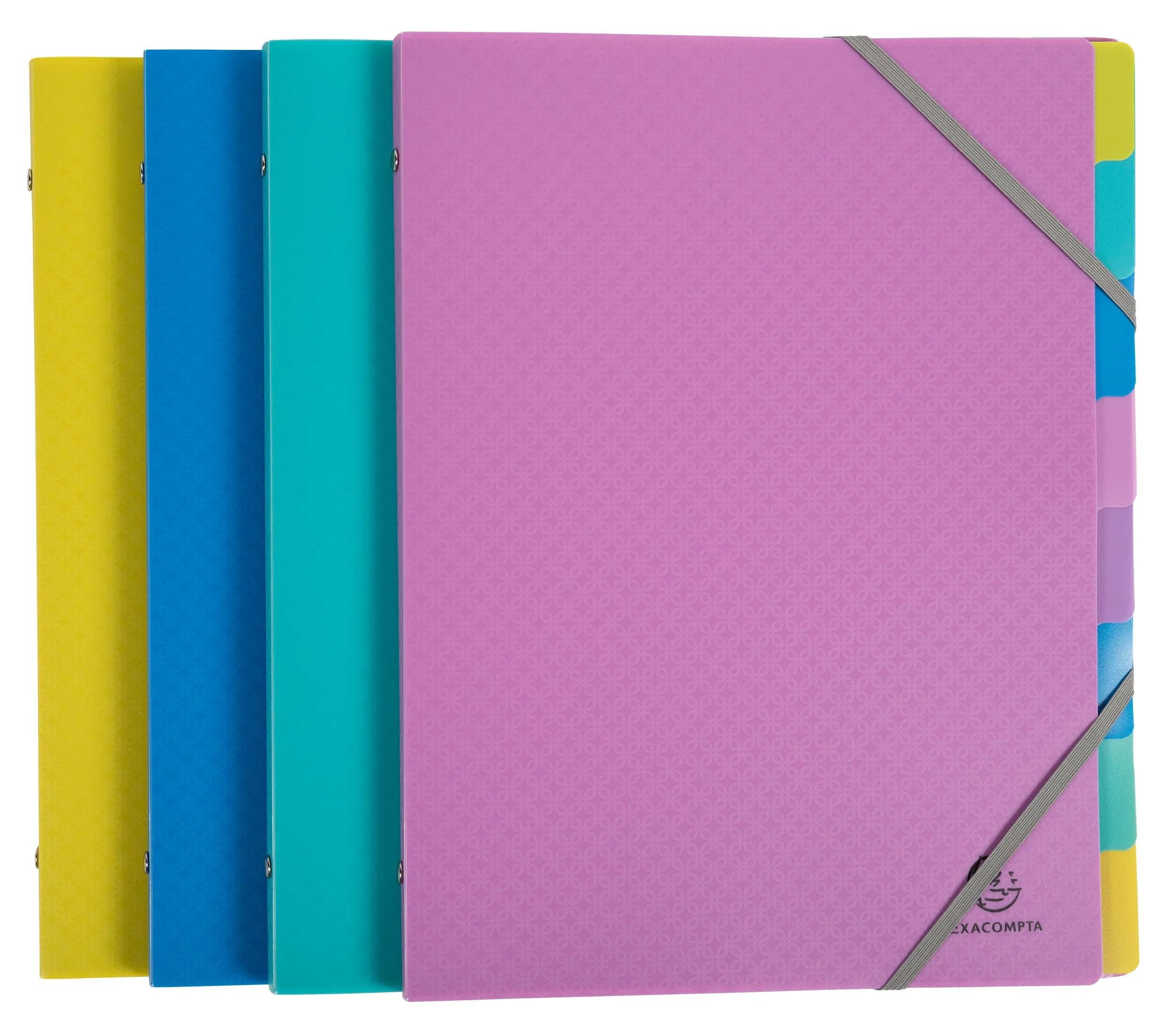 Exacompta, Ref 56190E, Box of 8 Forever Young File Boxes, 3 Flaps with Elastic Bands