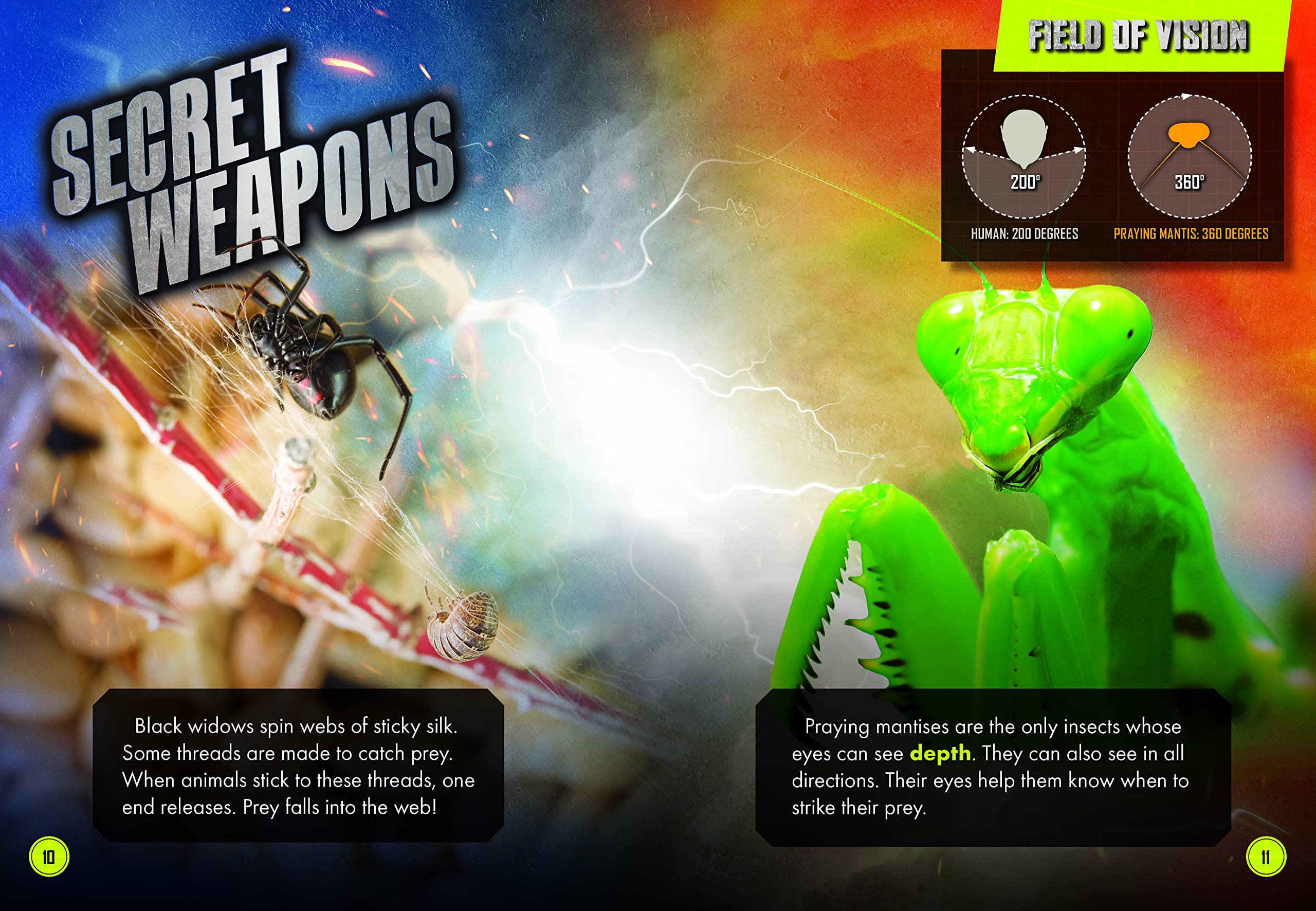 Praying Mantis Vs. Black Widow Spider