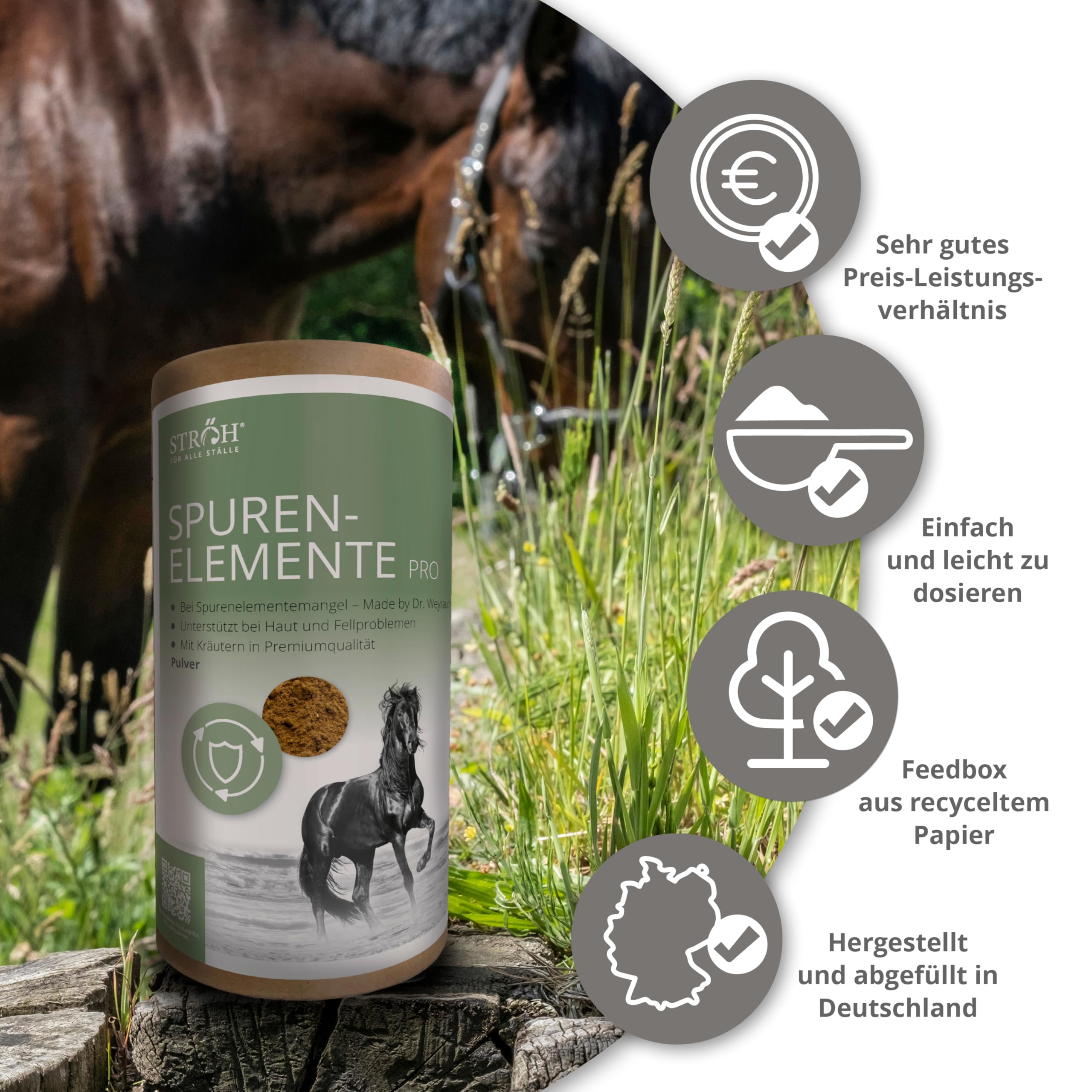 STRÖH Oligoelementi per polvere cavallo (1,1 kg) • Zinco, manganese, ferro, rame, selenio, iodio e cobalto per cavalli • Erbe per cavalli • Mangime minerale di alta qualità