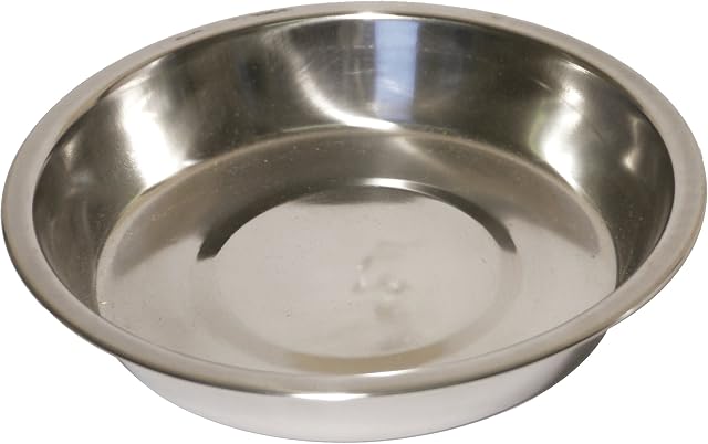 Rosewood Stainless Steel Bowl Shallow Puppy Pan, 6-inch