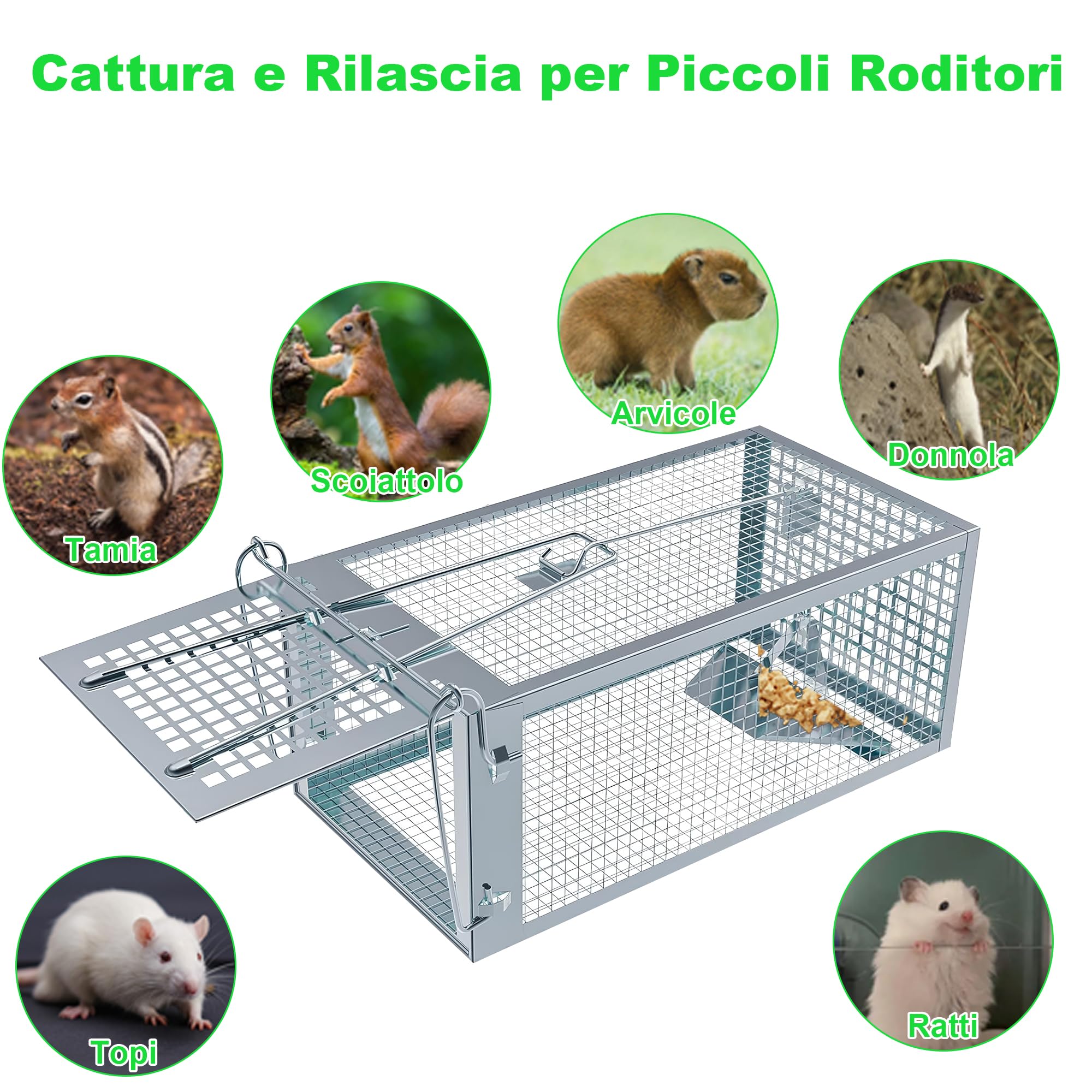 Trappola per Topi Vivi, 2 x Grande XL Gabbie Trappola per Interno e Esterno - Senza Uccidere e Riutilizzabile - Pronta all'Uso - Per Ratti e Piccoli Roditori - 27 cm x 14 cm x 12 cm