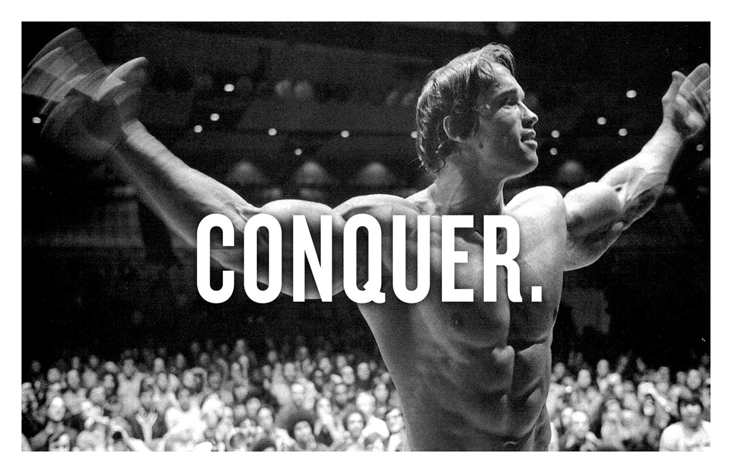 HK PRINTS Arnold Schwarzenegger Poster for Room (12x18-inch, Waterproof, Rolled) - Multicolour-E-4-image-27