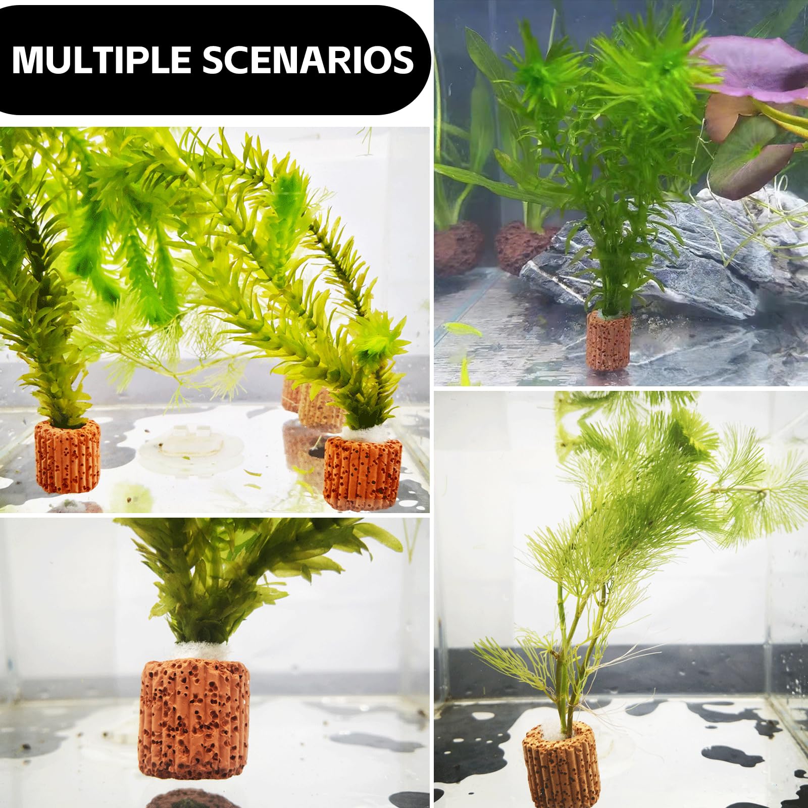 30 Pièces Anneau de Fixation pour Plantes Aquatiques, 2,5 cm Anneaux pour Plantes Aquatiques, Argile Anneaux Fixes en Céramique pour Aménagement Paysager, Support Céramique pour Aquarium