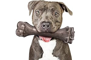 Indestructible Dog Bone: The Ultimate Chew Toy for Aggressive Chewers