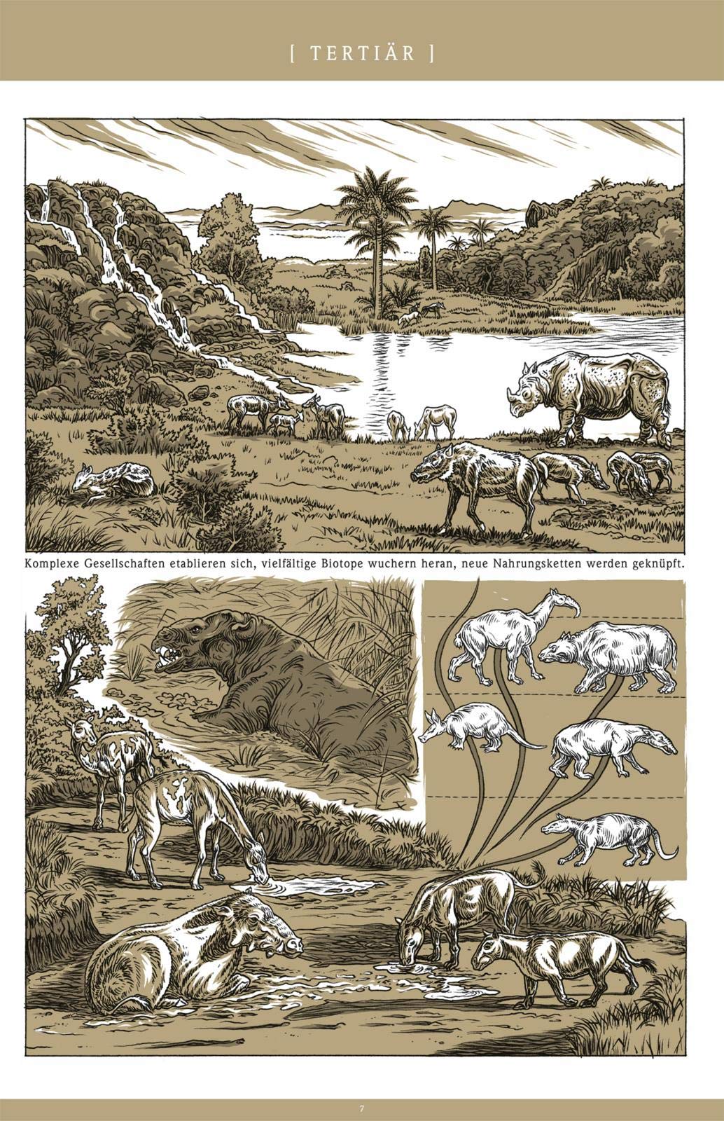 Beta ...civilisations (Die große Erzählung 2): Teil 1 | Graphic Novel über die Geschichte der Säugetiere und Urmenschen