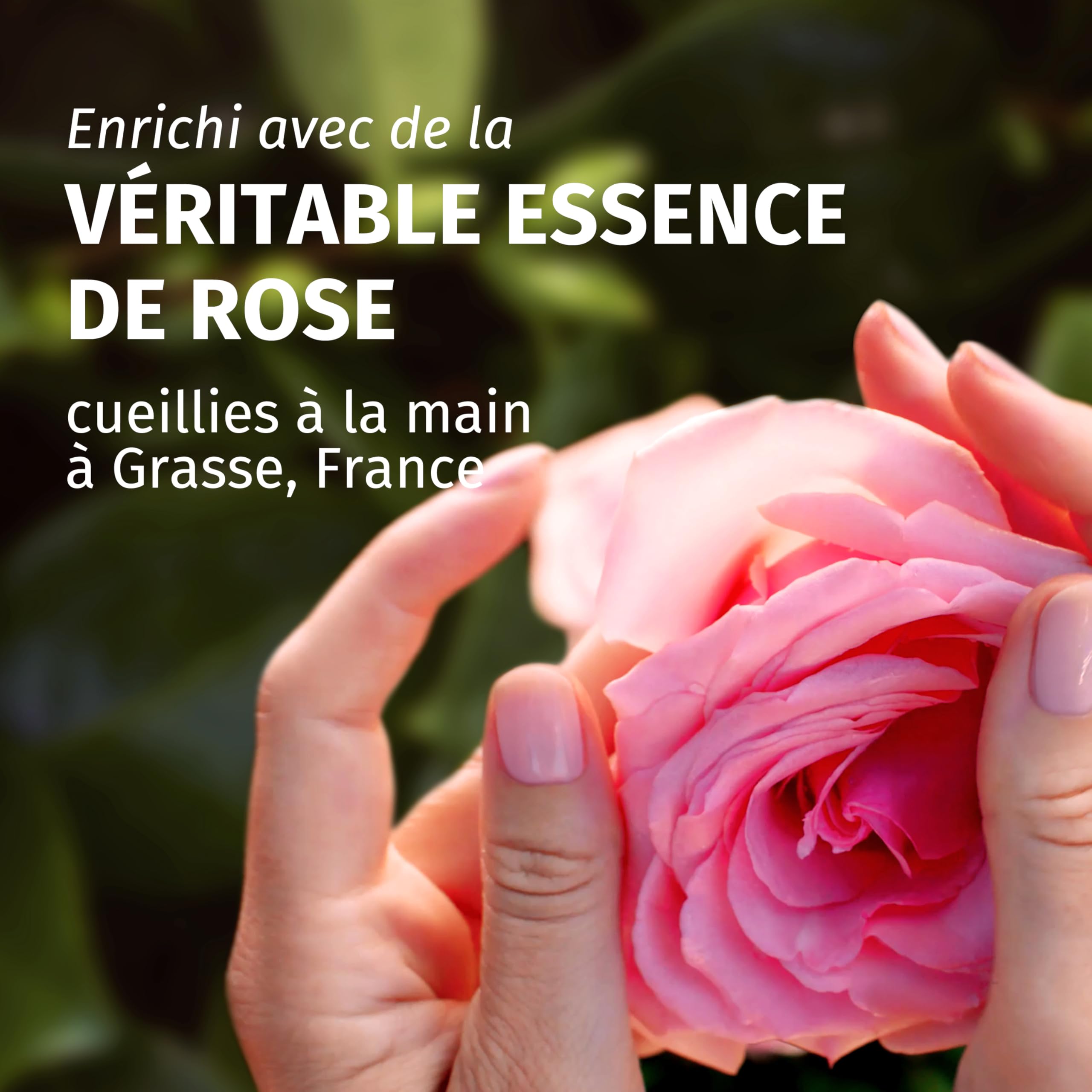 Herbal Essences Shampooing Douceur Parfum Rose 650ml Cheveux Secs Soyeux Et Nourris. Essence De Rose, Ingrédients Naturels. Sans Silicone, Vegan Et Sans Cruauté - 3