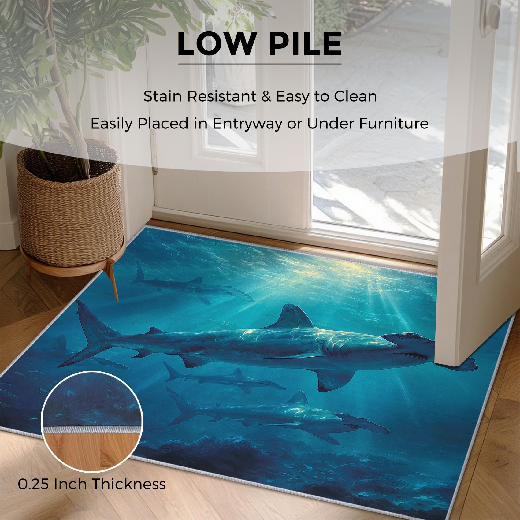 Amazon.com: Hammerhead Shark Rug 4x5 ft, Washable Ocean Shark Area