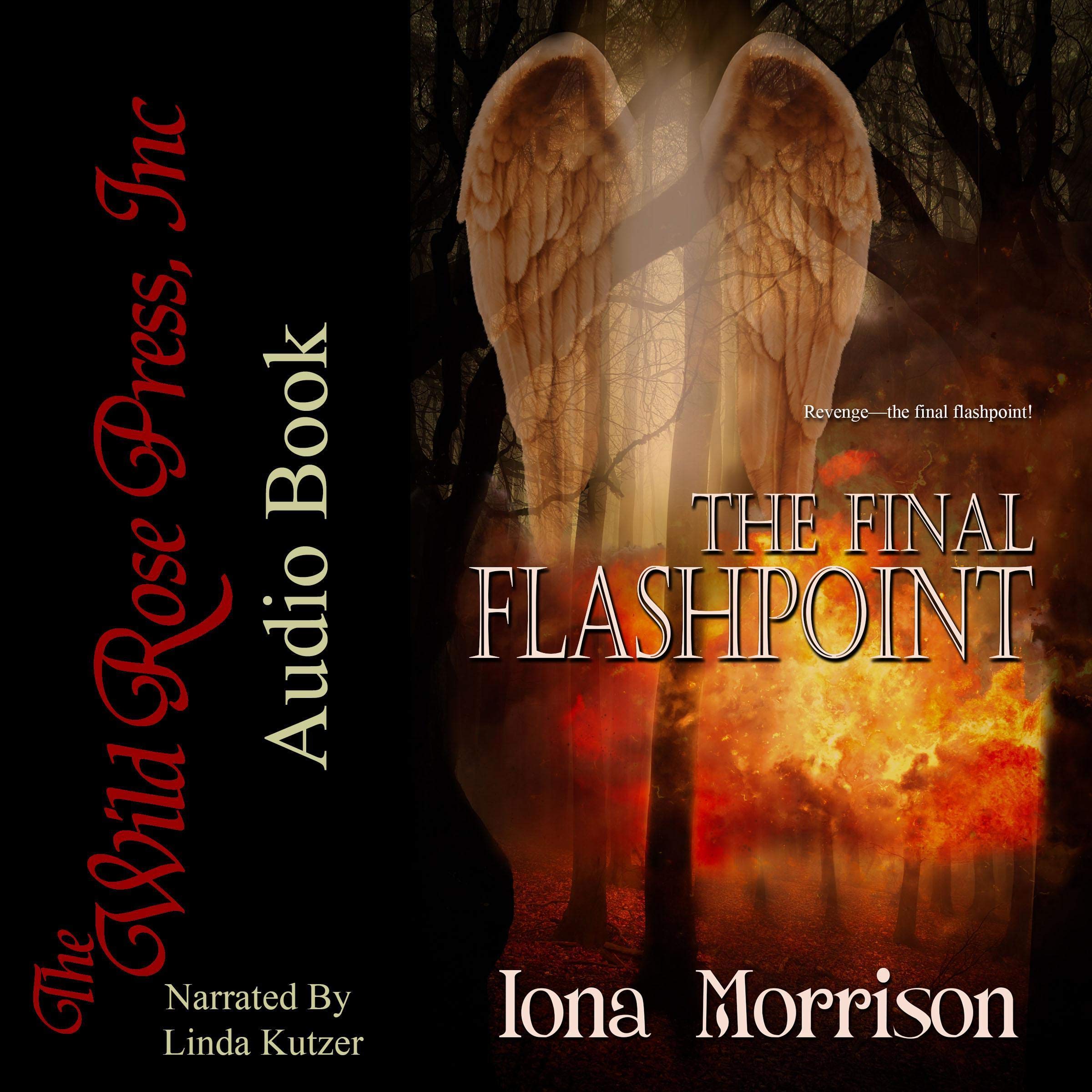 Cover art for The Final Flashpoint