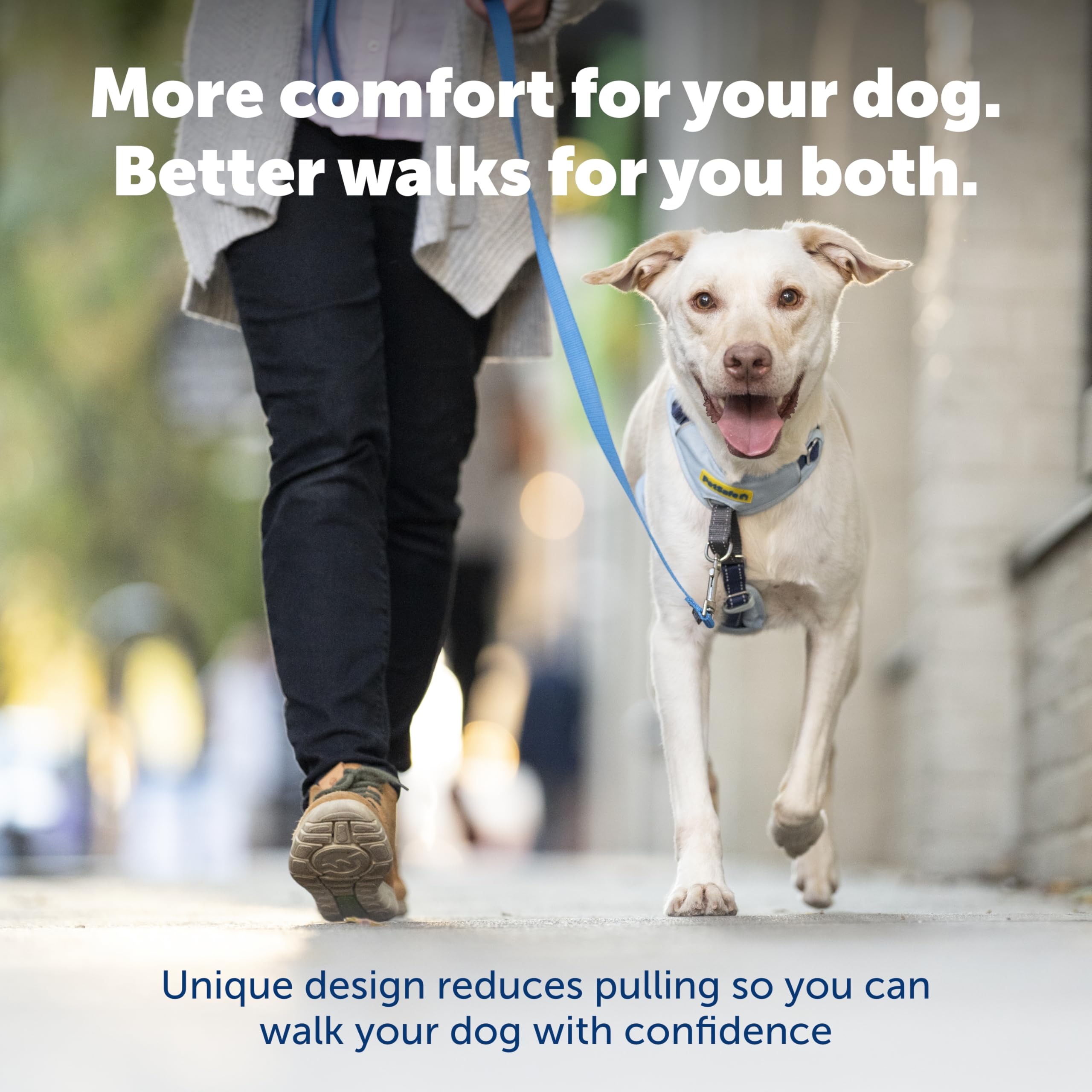 PetSafe Easy Walk - Pettorina per cani comoda e anti-tiro, per migliorare la camminata, design imbottito su tutto il corpo, tessuto resistente, vestibilità regolabile in 5 punti, guinzaglio per