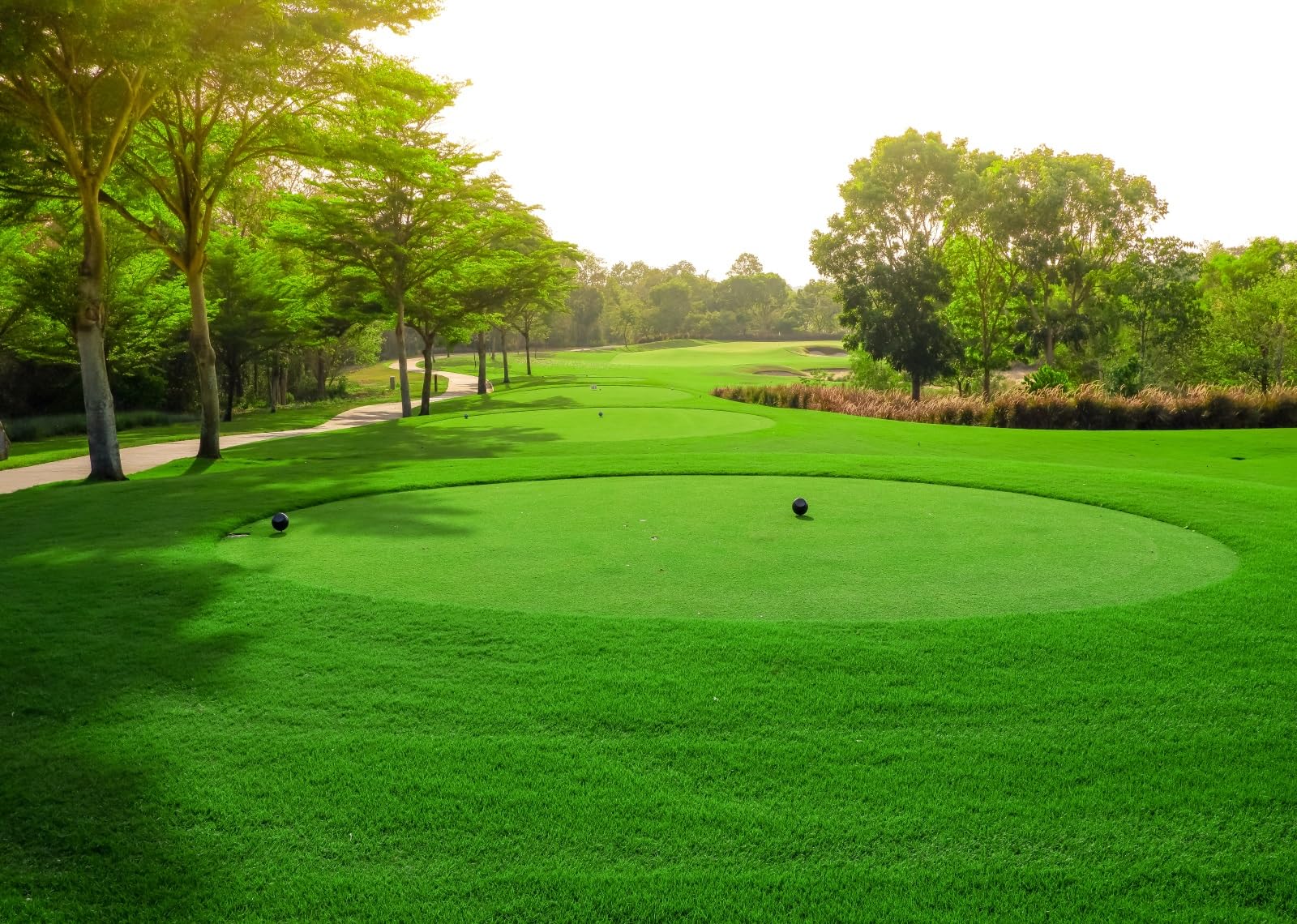 Loccor 8x6ft Fabric Golf Course Backdrop Green Grass Blue Sky Trees Lawn Photography Background Golf Sport Party Decorations Holiday Vacation Banner