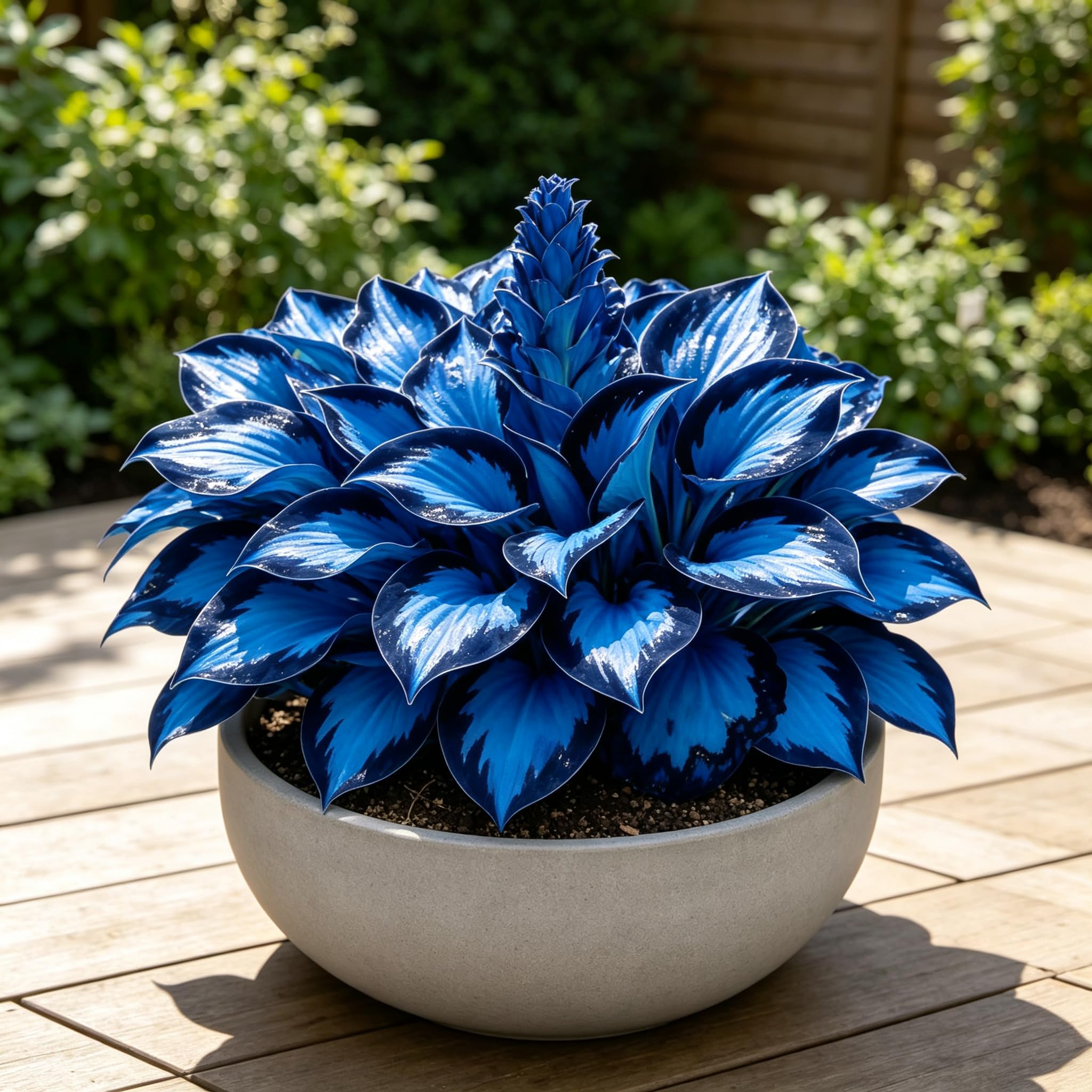 View 4