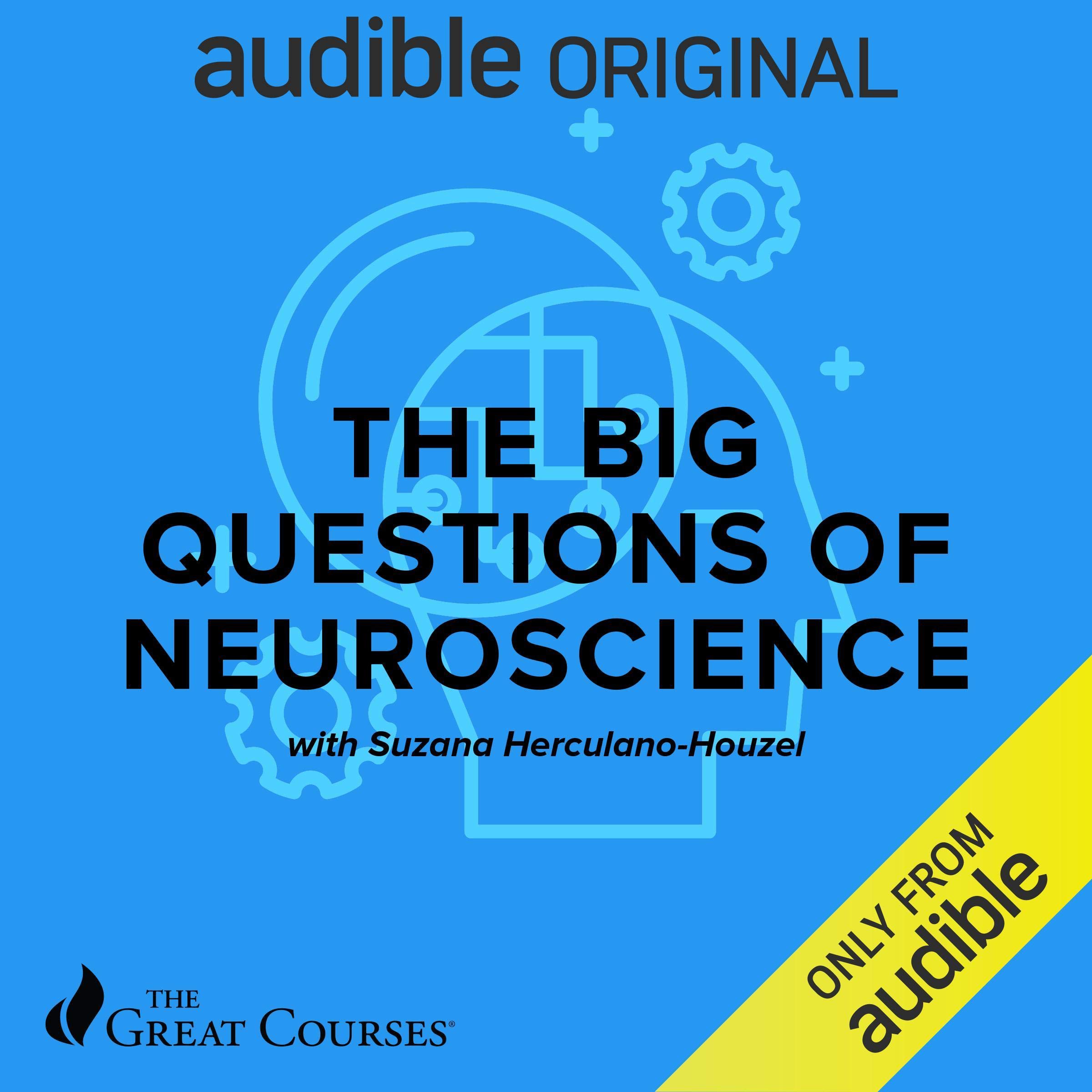 Cover art for The Big Questions of Neuroscience
