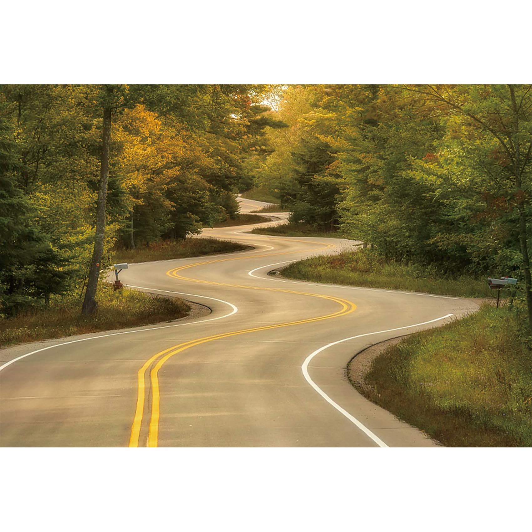 dnldliq 8x6.5ft Rural Road Backdrop Green Forest Tree Countryside Highway Photography Background Travel Landscape Baby Newborn Birthday Party