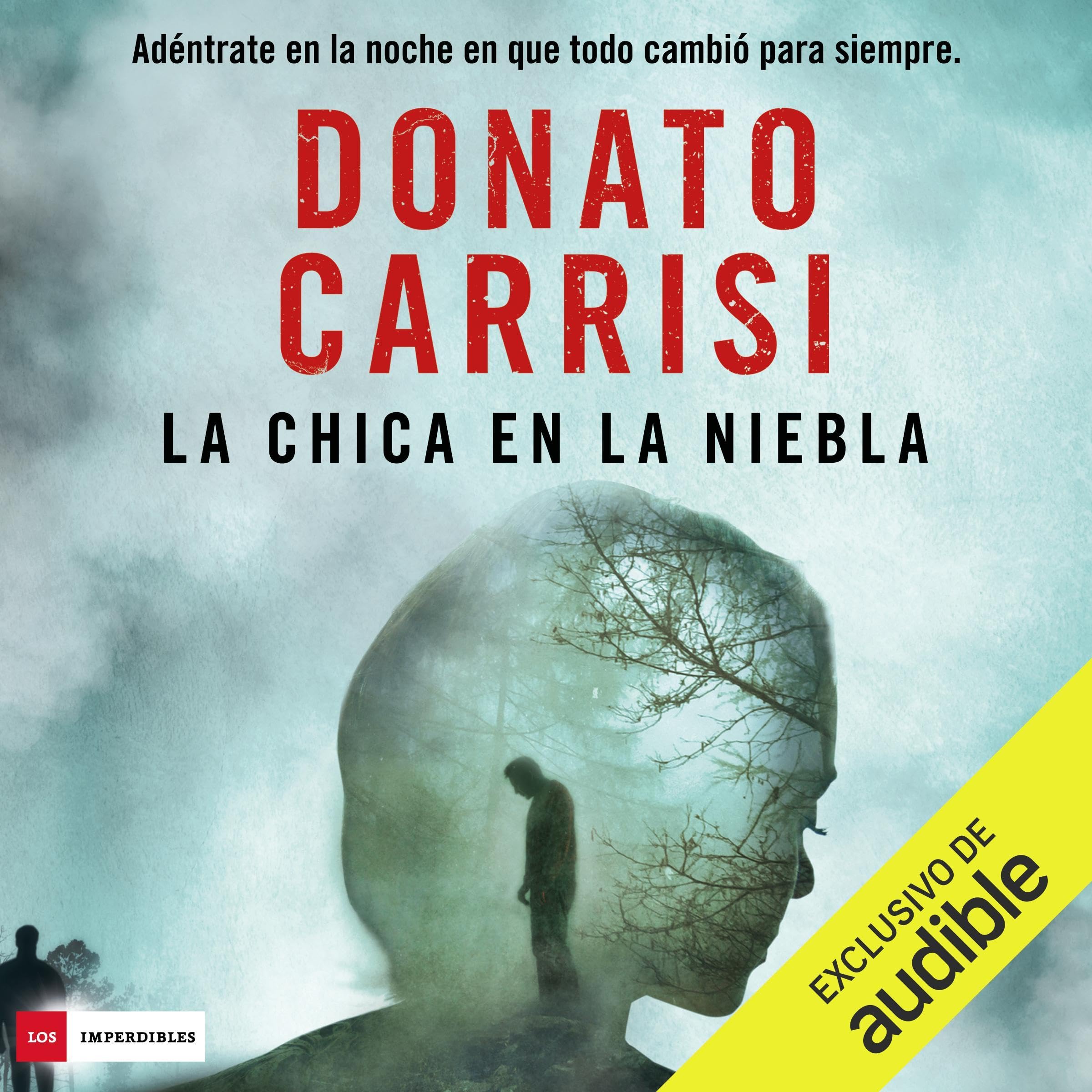 La chica en la niebla