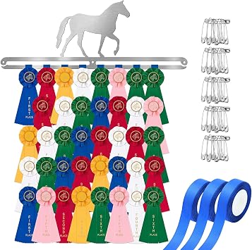 Horse Ribbon & Medal Display Hanger for Wall - Metal Equestrian Rosette Holder with Pins & Ribbons, Holds Up to 40 Awards, Award Ribbon Organizer Silver