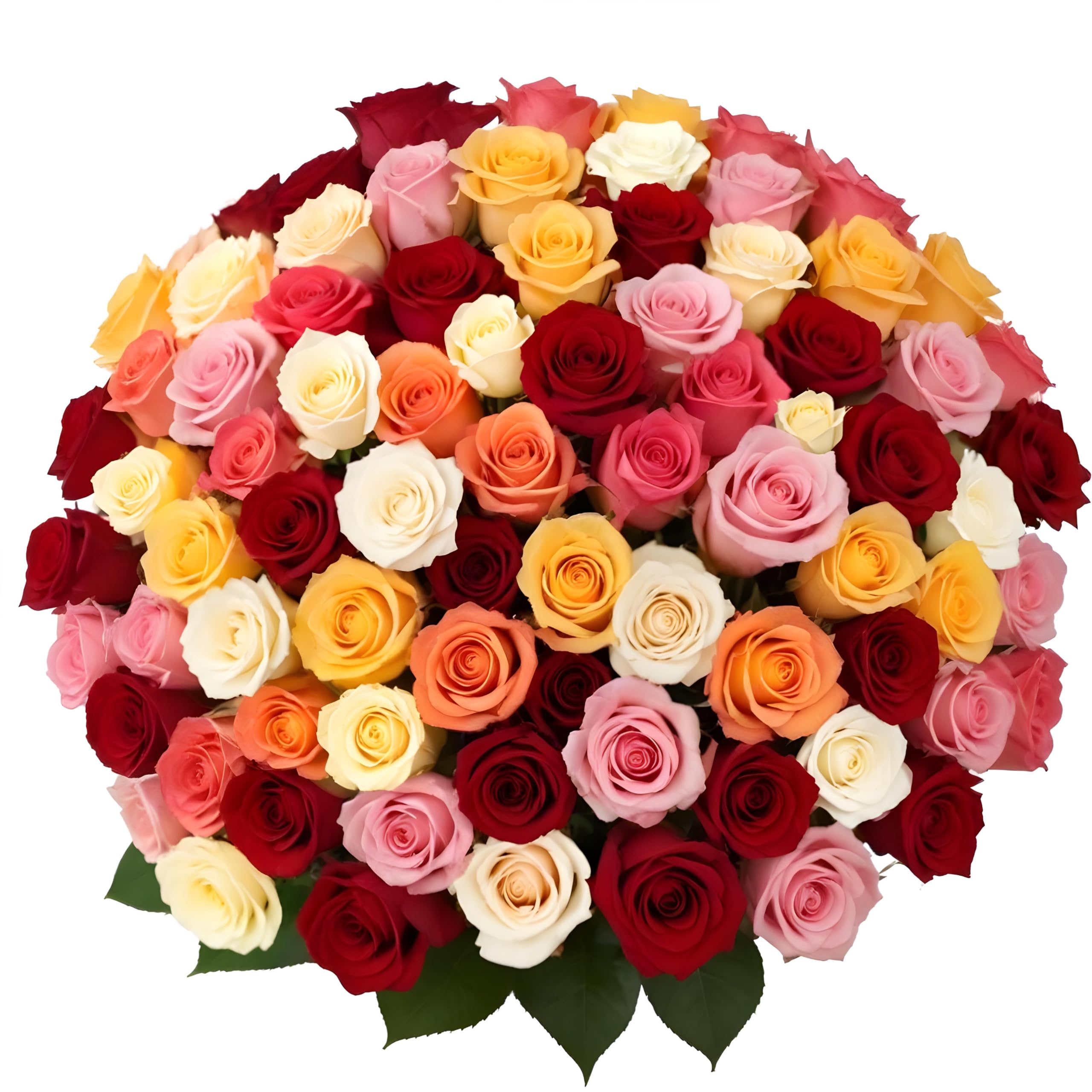 Arabella Bouquets 100 Rainbow Roses