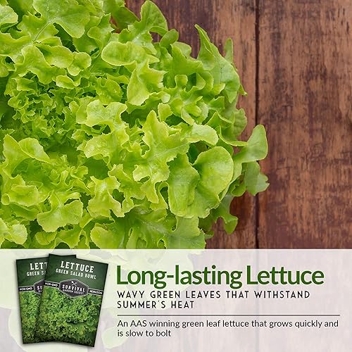Miniatura 6 de 5 paquetes de semillas de lechuga verde para plantar, paquete con instrucciones para cultivar en el huerto de tu hogar, variedad de reliquia sin OMG