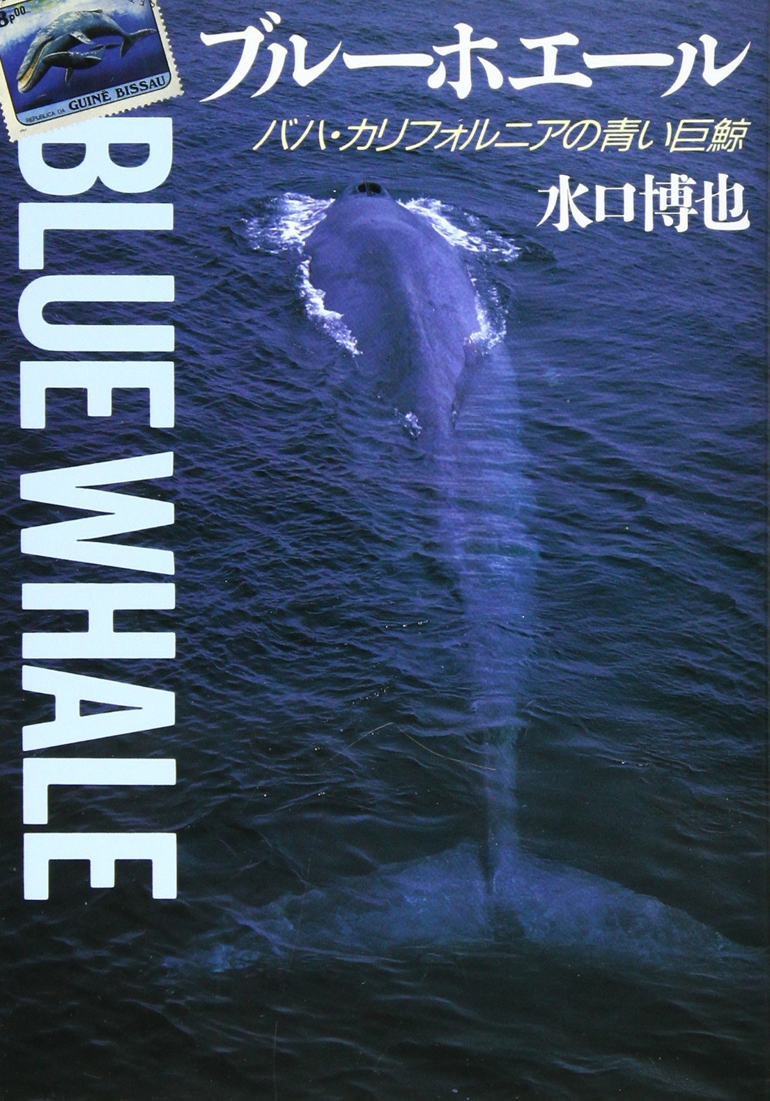 青いクジラ オックス 生地 海の生き物柄 入園 入学 レッスンバック クジラ シャチ