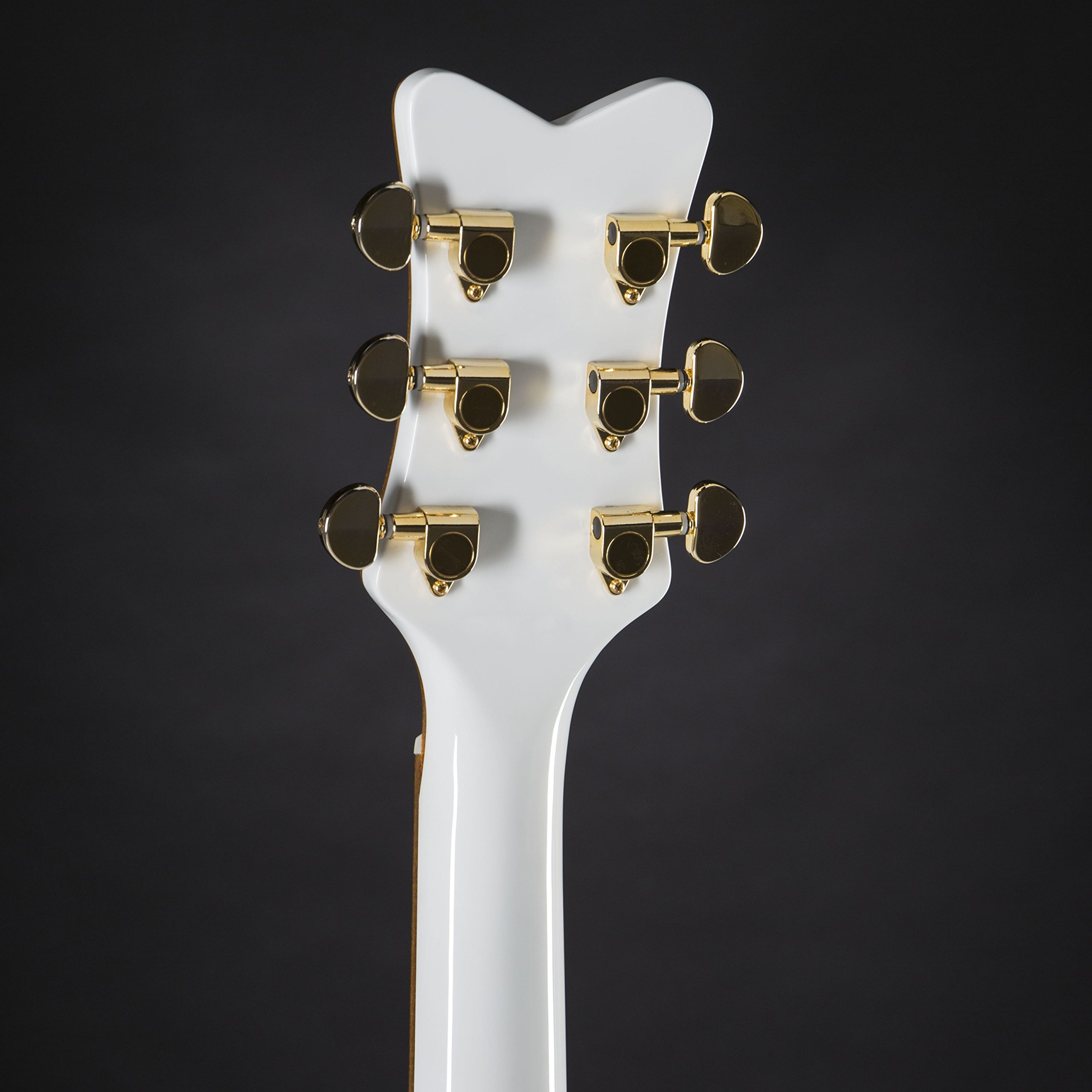 Amazon.com: Gretsch G5021WPE Penguin Parlor Acoustic