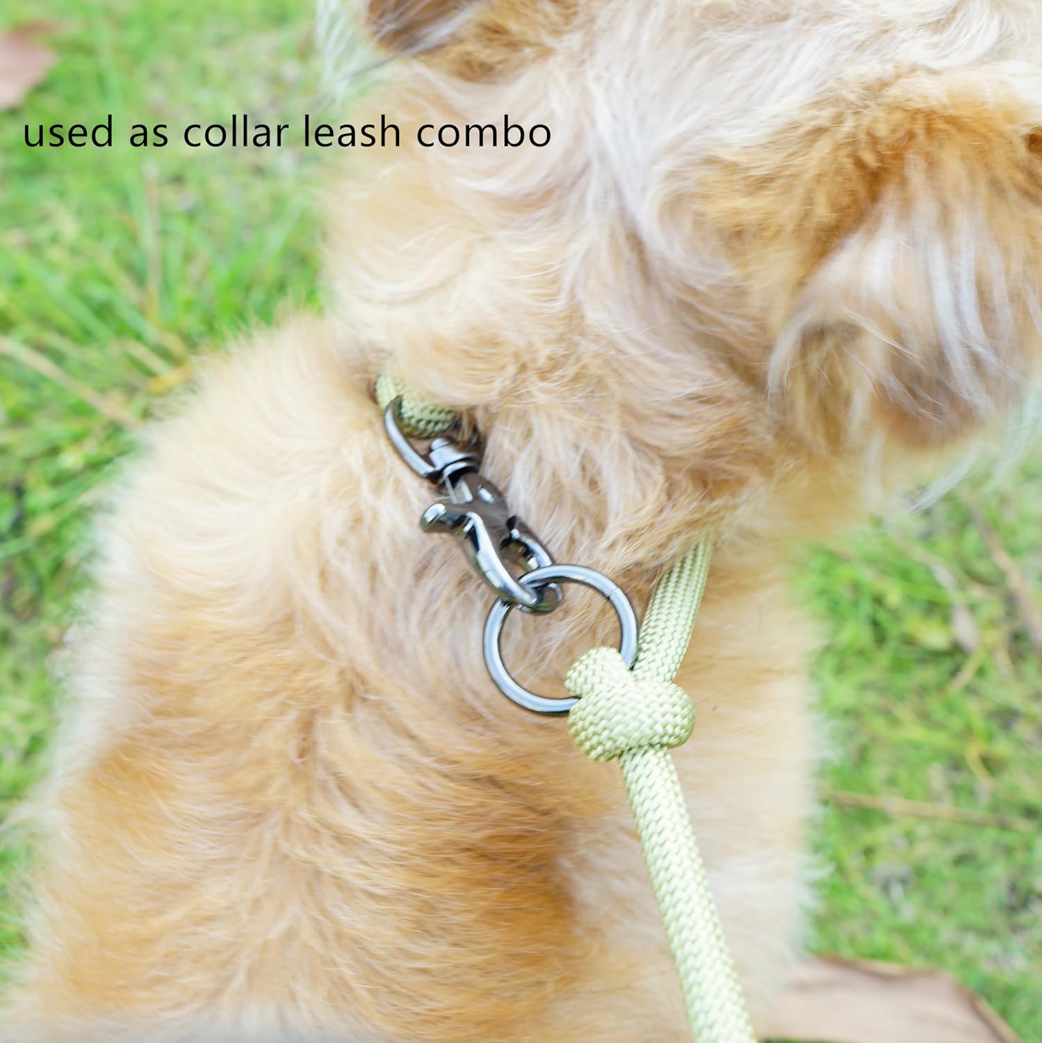 8FT Hands Free Dog Rope Leash, Waist Body Running Leash for Dog Walking (Lime Green, 8FTx10MM)