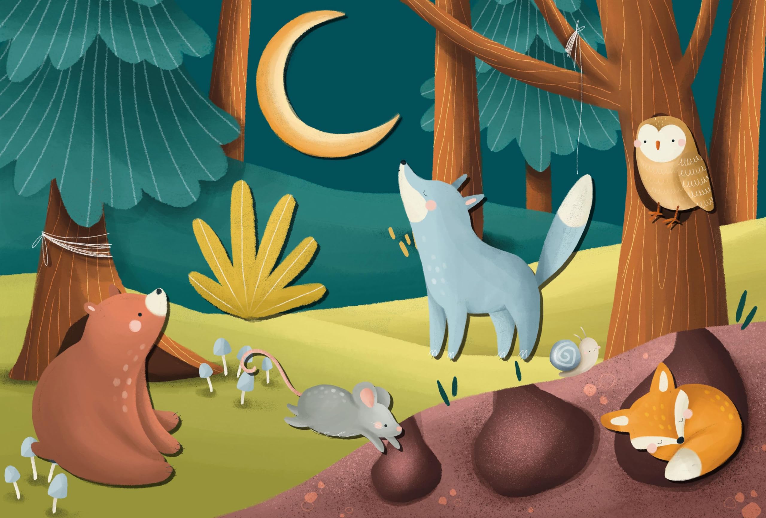 Bosco. Magnetic Box e book. Ediz. a colori. Con magneti: Magnetic Box Set