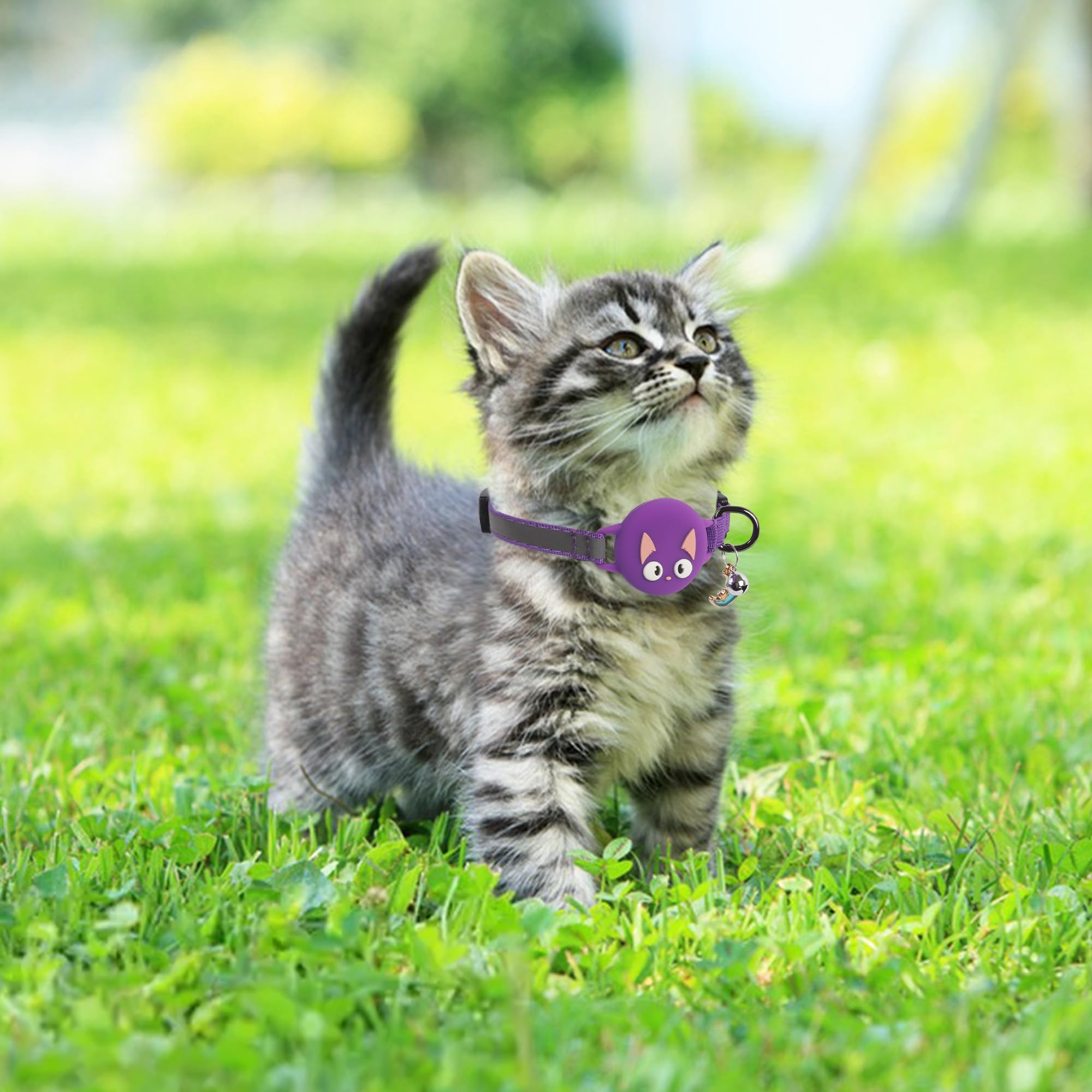 Plliocse Cat Collar Reflective Kitten Collar, Cute Quick Release Cat Collars with Bell and Slot for Boys Girls Cats Kittens (Purple) - Image 2