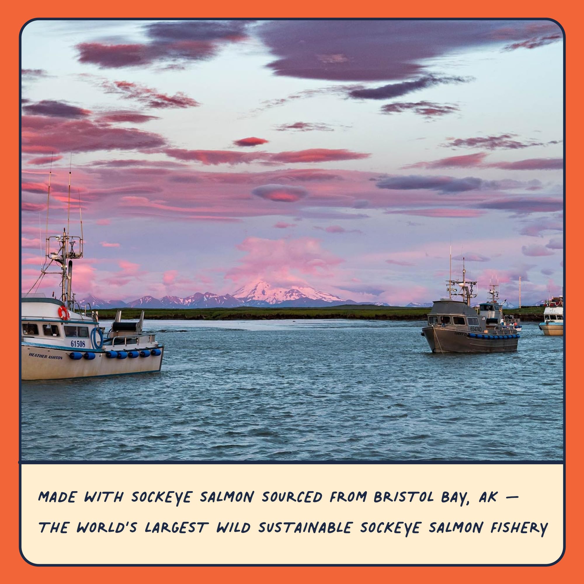 Fable Fish Wild Alaskan Salmon Jerky - Wild Caught Salmon with 31g of Protein - Tasty Fish Jerky with Omega-3s and Natural Source of Collagen - Made with Whole Muscle Sockeye - Sweet Chili thumbnail 7