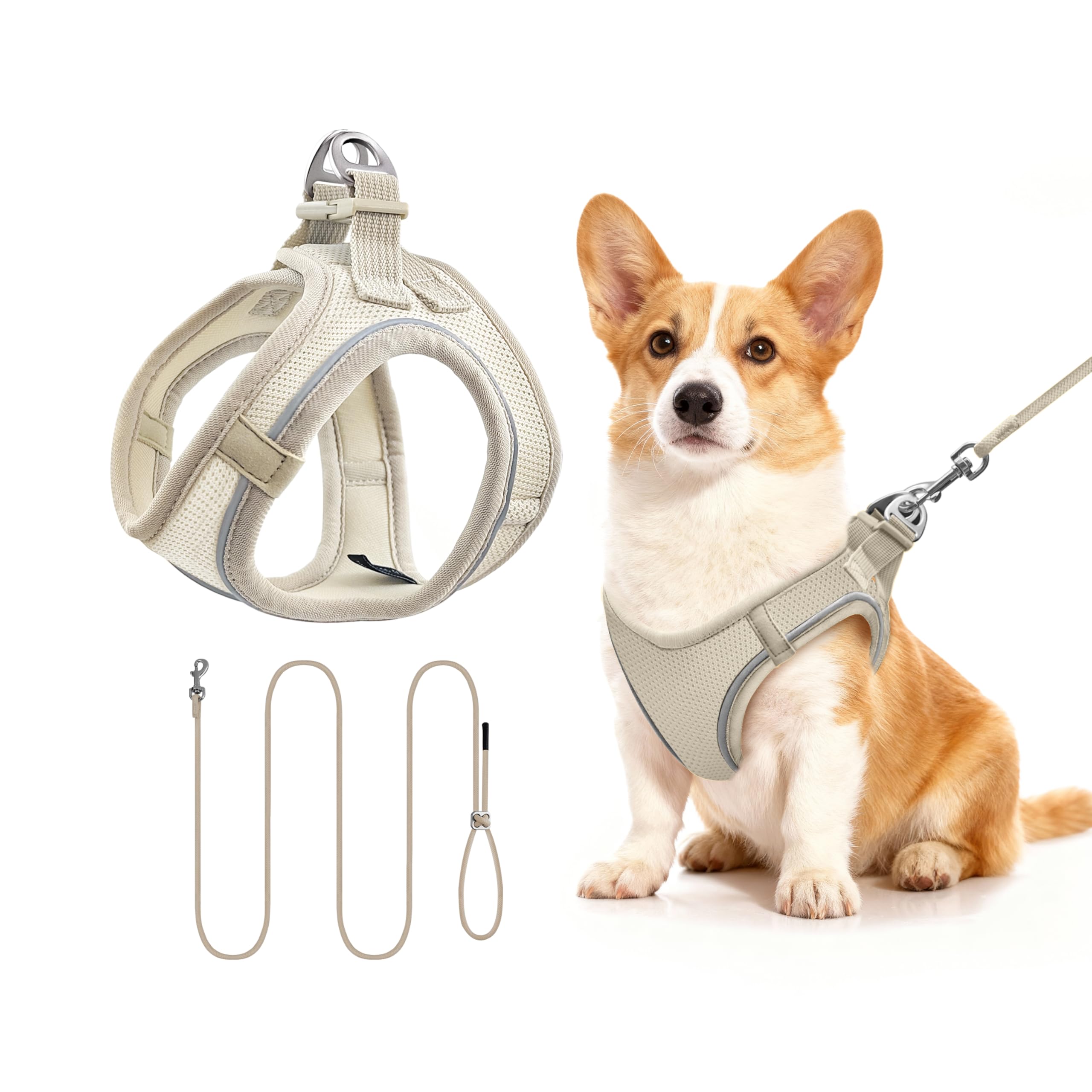 Harnais pour chien moyen beige M avec laisse de 255cm réglable
