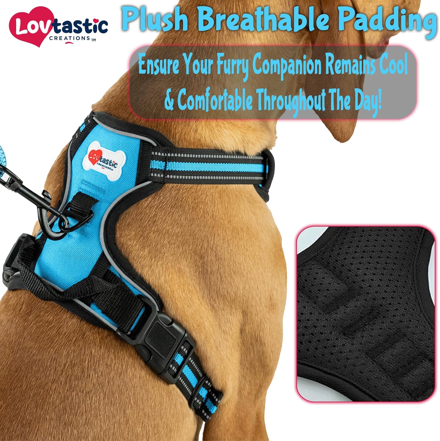 No-Pull Dog Harness - with Strong & Durable Dog Leash & Free Poopbag Holder 3pcs Set | Reflective No-Choke Pet Harness (SM-Blue)
