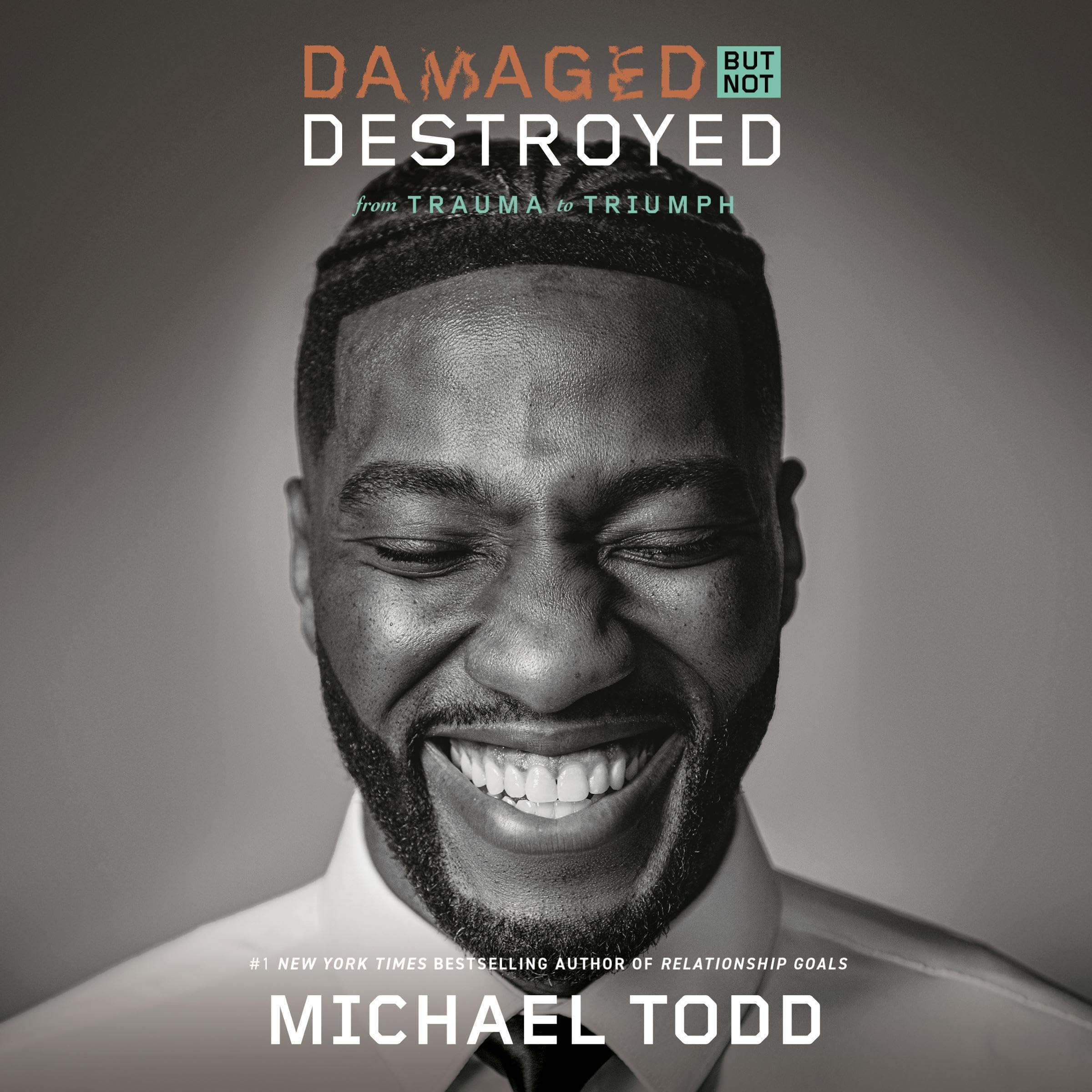 Cover art for Damaged but Not Destroyed