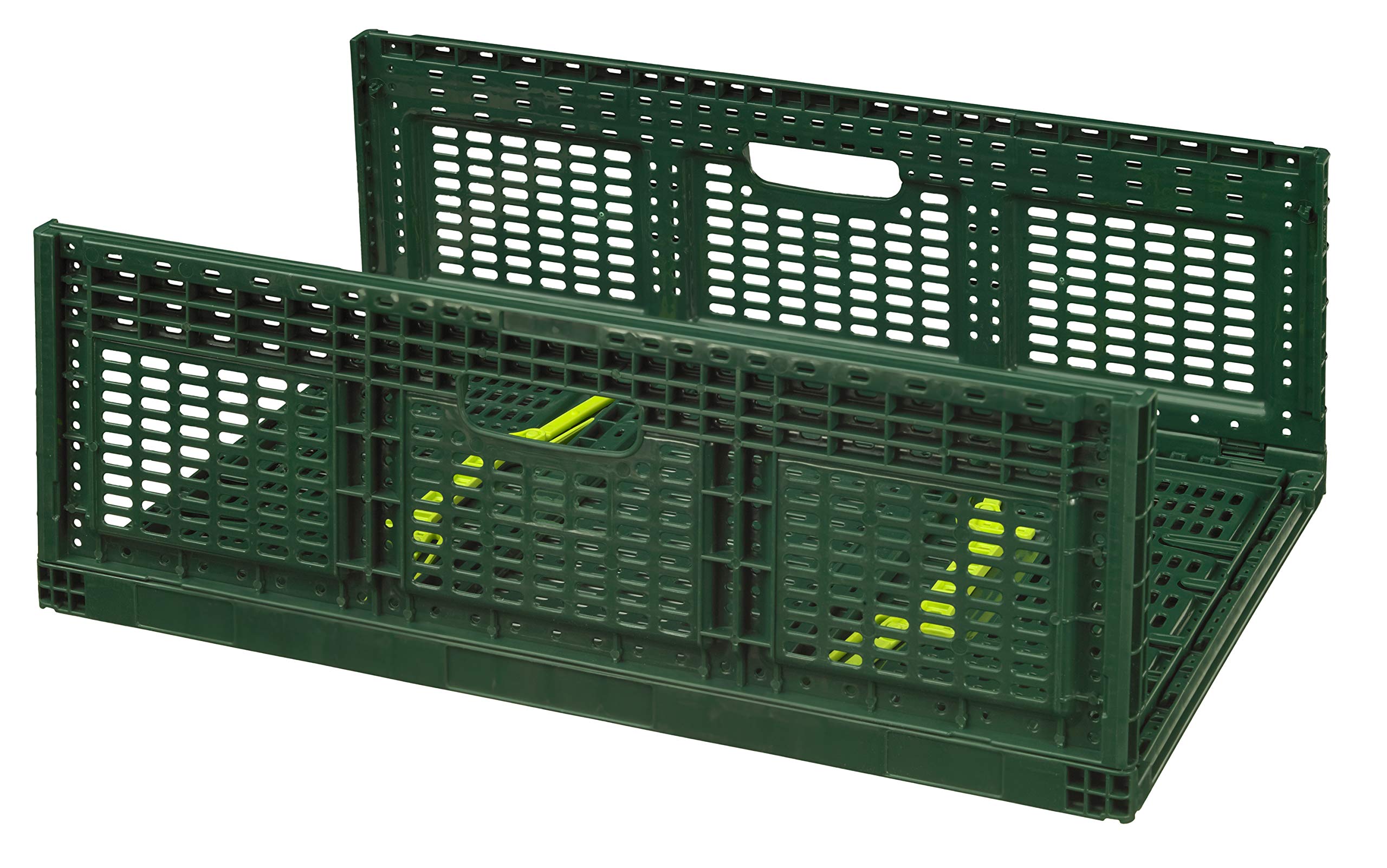 Logiplast 10 x Stabile Klappbox aus Kunststoff 60x40x21,9 cm Gemüsekiste Faltbox