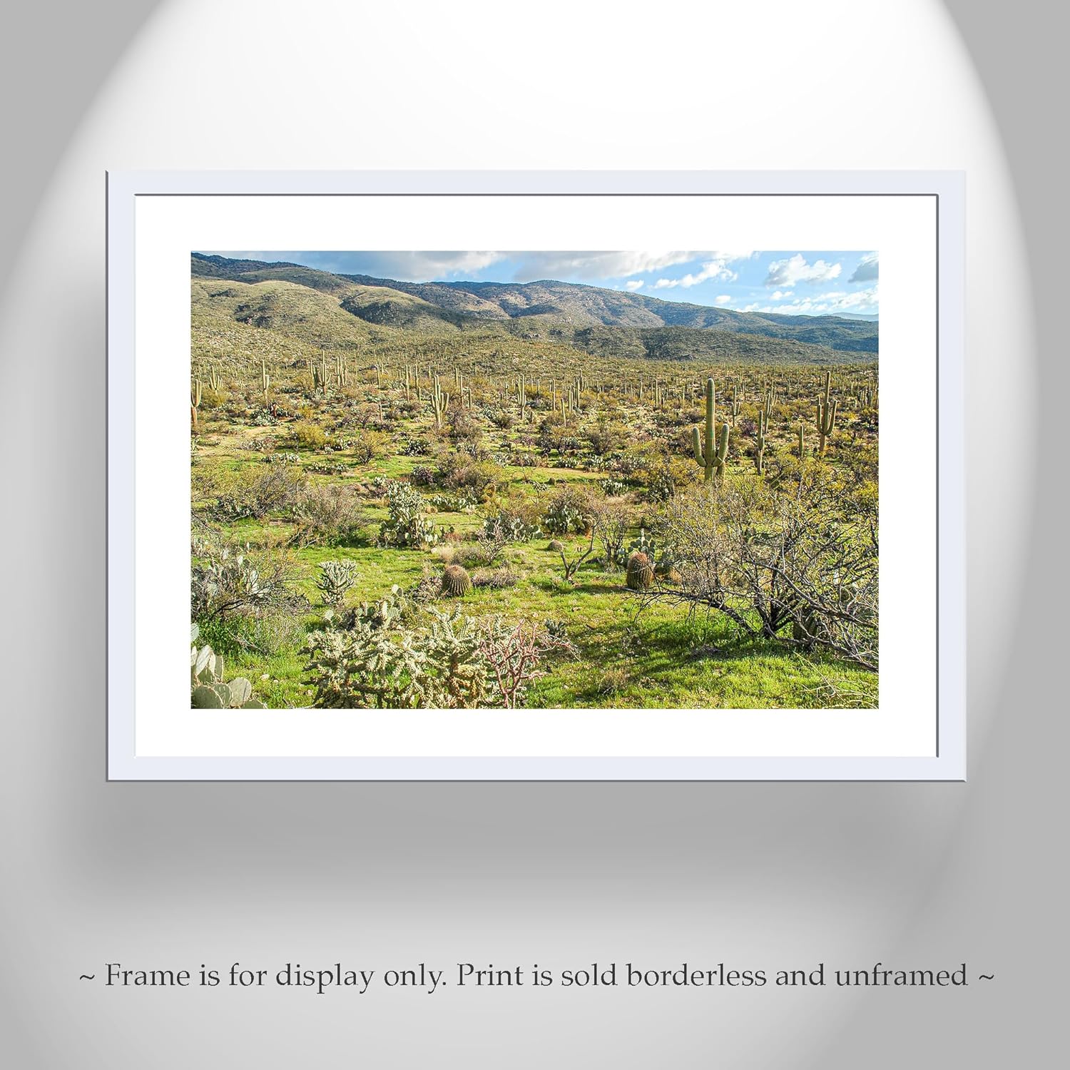 Tucson Arizon Desert Landscape Photograph in Spring as Framed Art Print for Home or Office