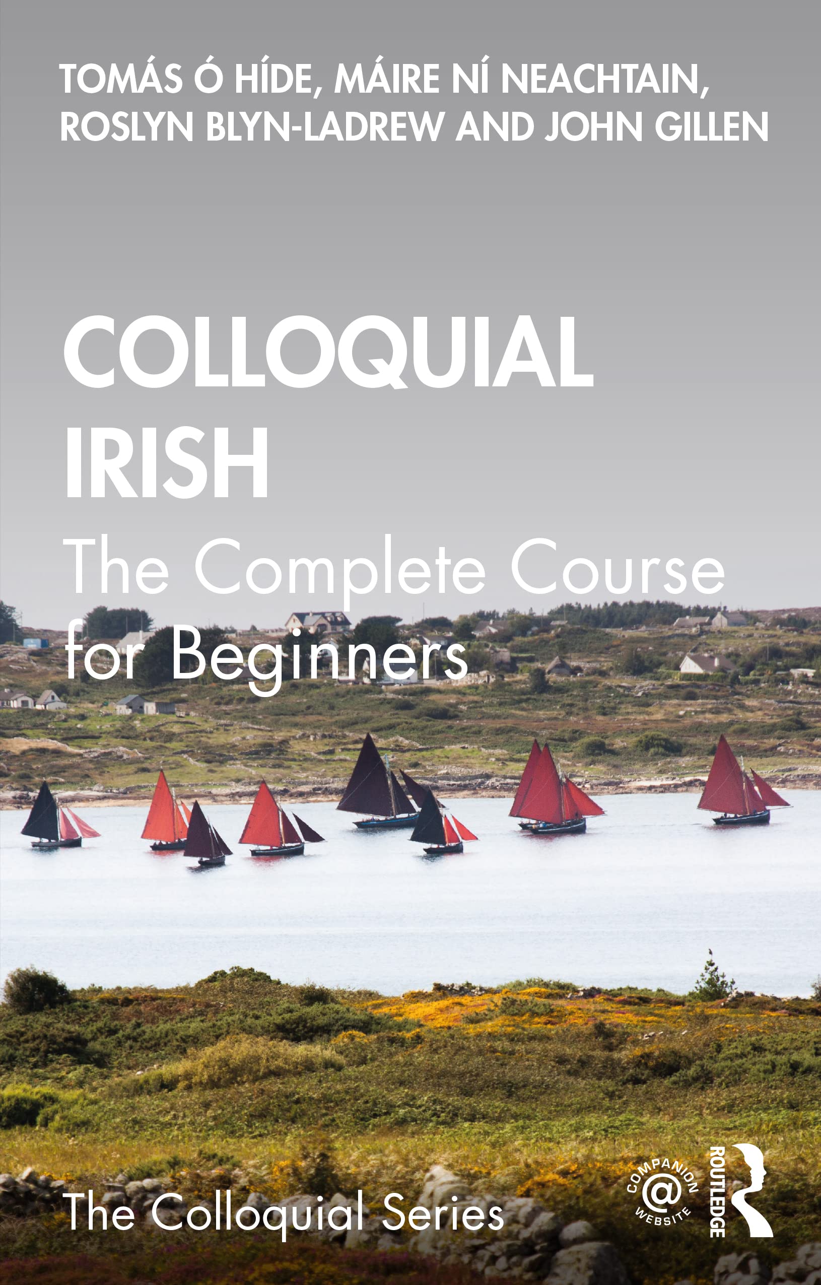 Colloquial Irish (Colloquial Series)