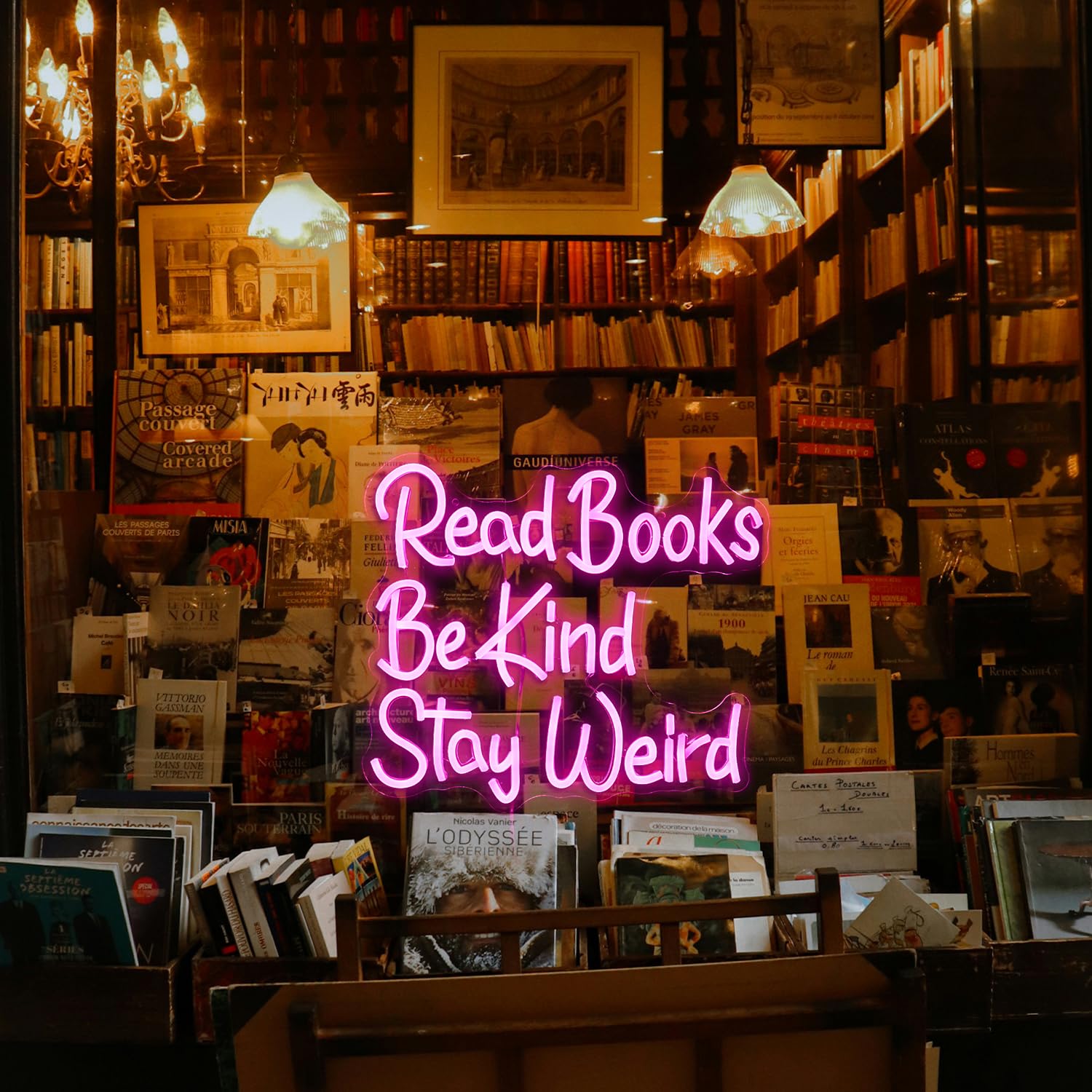 BNEMCEZH Read Books Be Kind Stay Weird Neon Sign USB Powered Pink