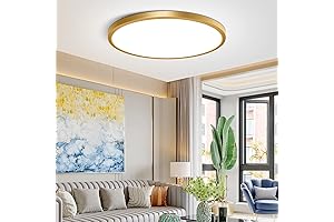 12-Inch LED Ceiling Light Fixture Flush Mount: Illuminate with Golden Light