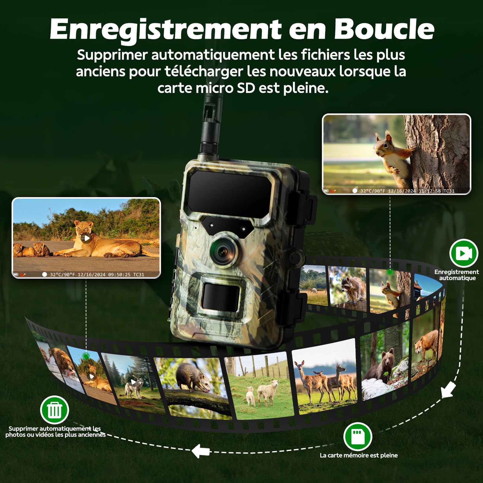 Caméra de Chasse 4G connectée, Carte SIM, Application, 32 MP, 1080P, IP66 | Vision nocturne infrarouge, détection PIR, 2 LED 850 nm, accès via application – forêt, terrain, chasse et faune sauvage