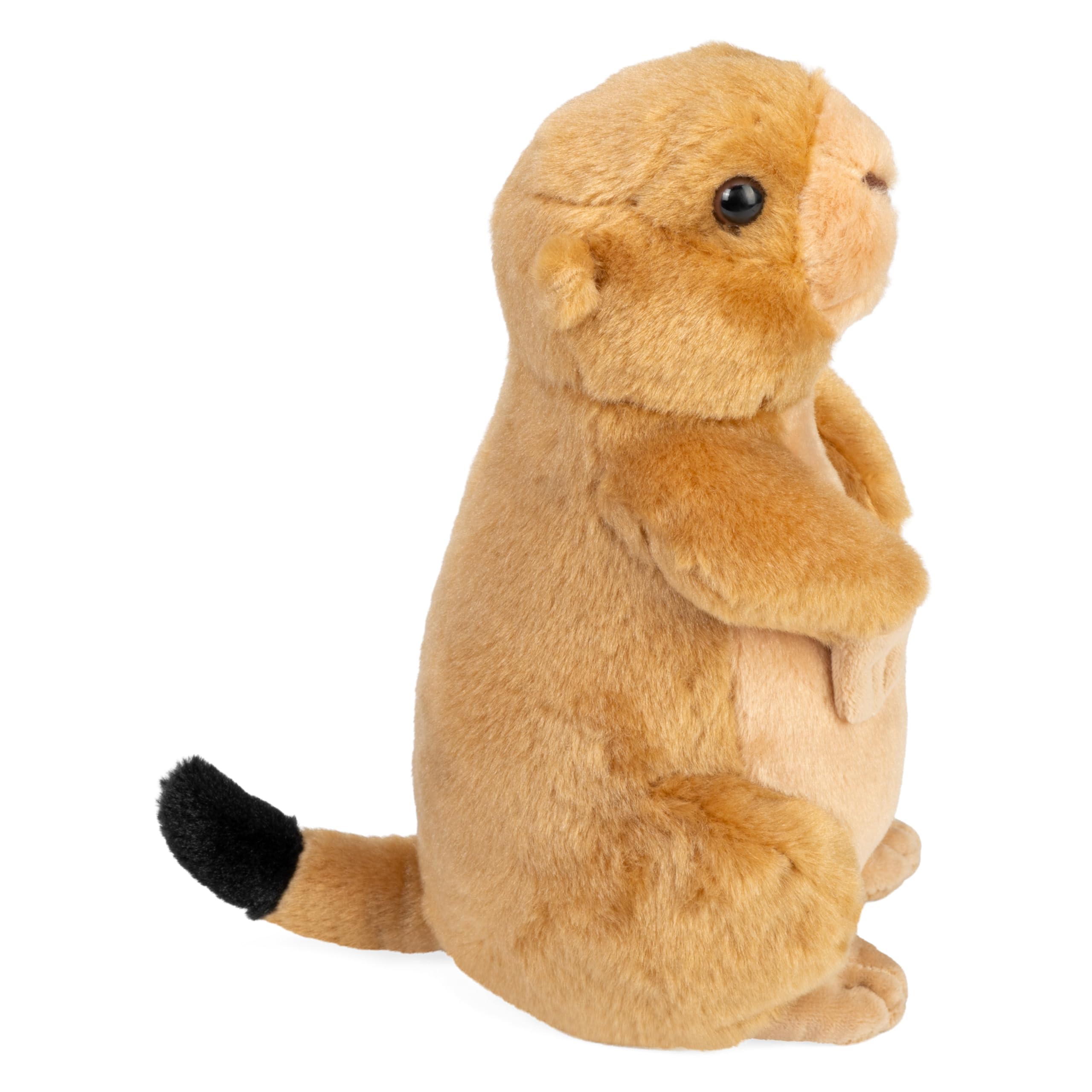 Amazon.com: Wild Republic Prairie Dog, Cuddlekins Mini, Stuffed
