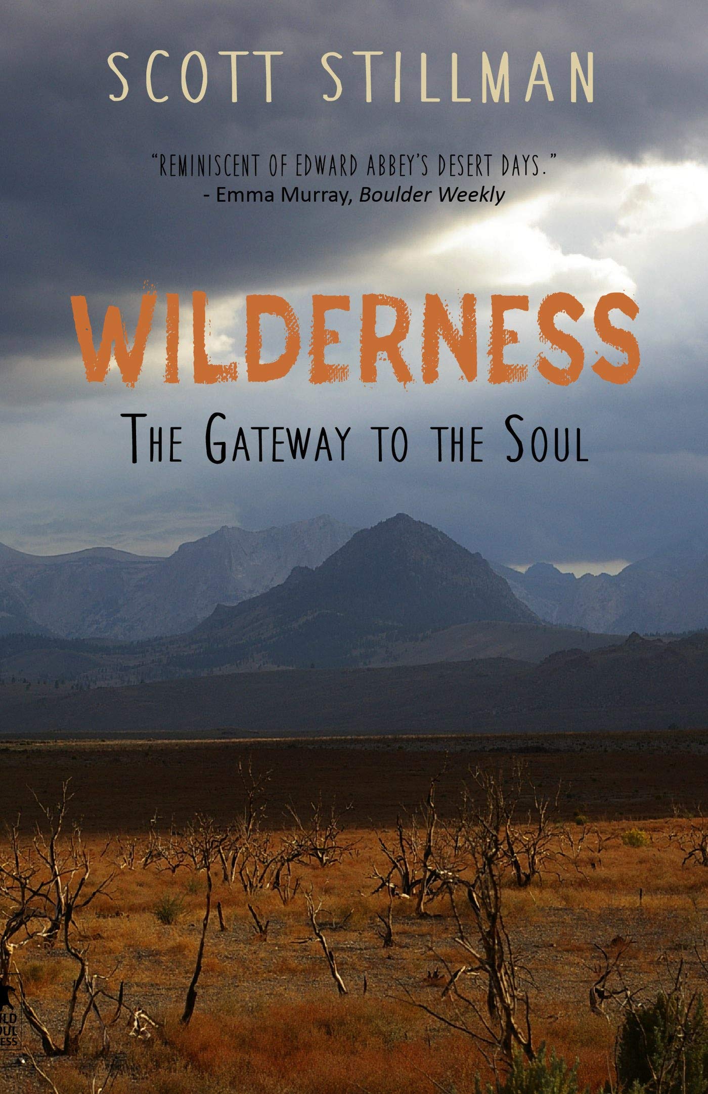 Wilderness, The Gateway To The Soul: Spiritual Enlightenment Through Wilderness (Nature Book Series 1)