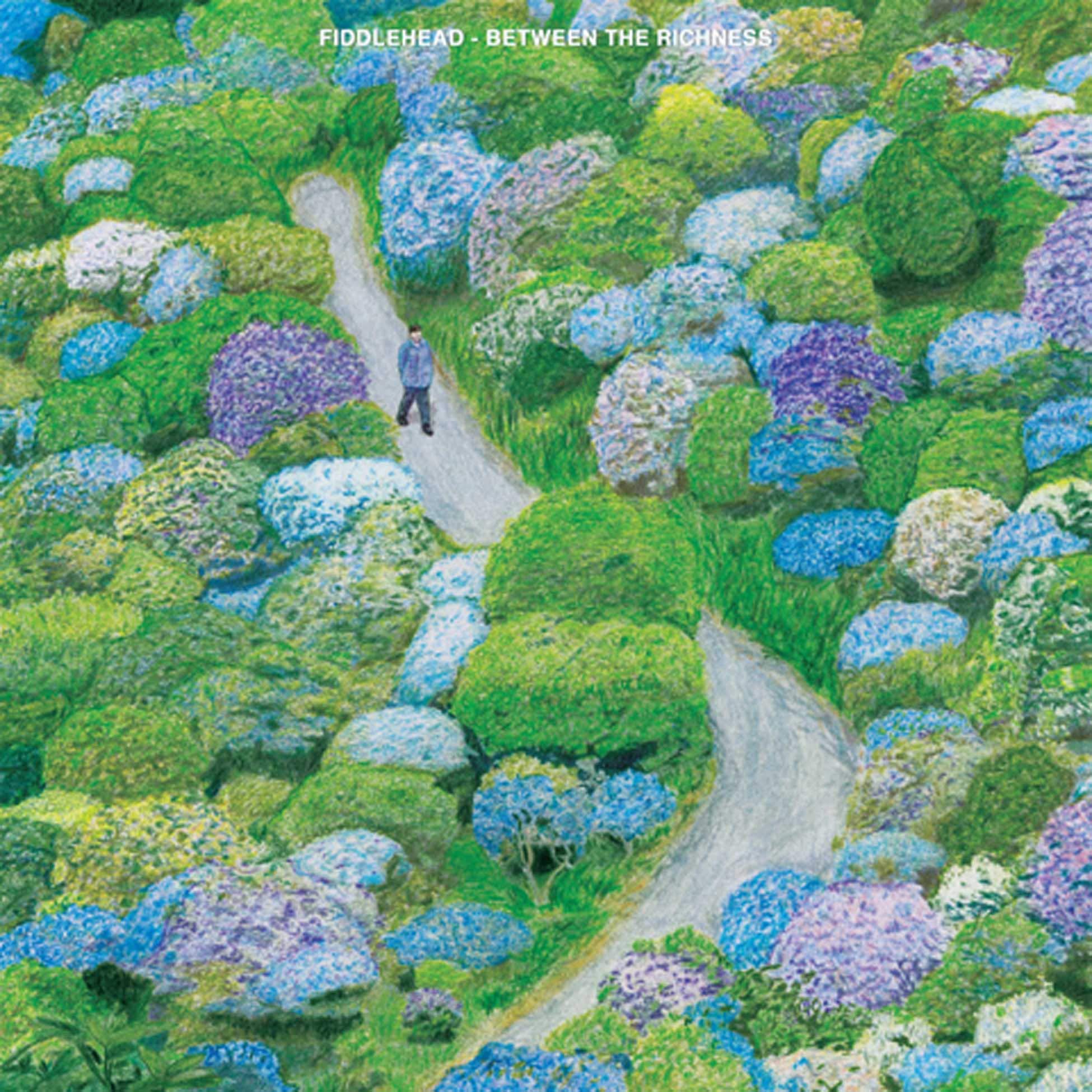 BETWEEN THE RICHNESS