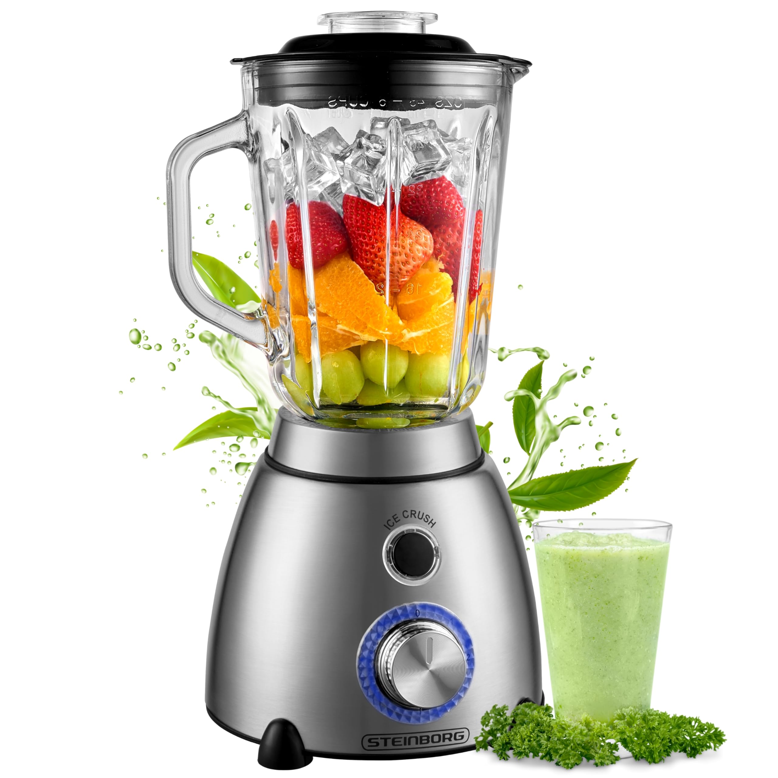 Steinborg Standmixer 600 W