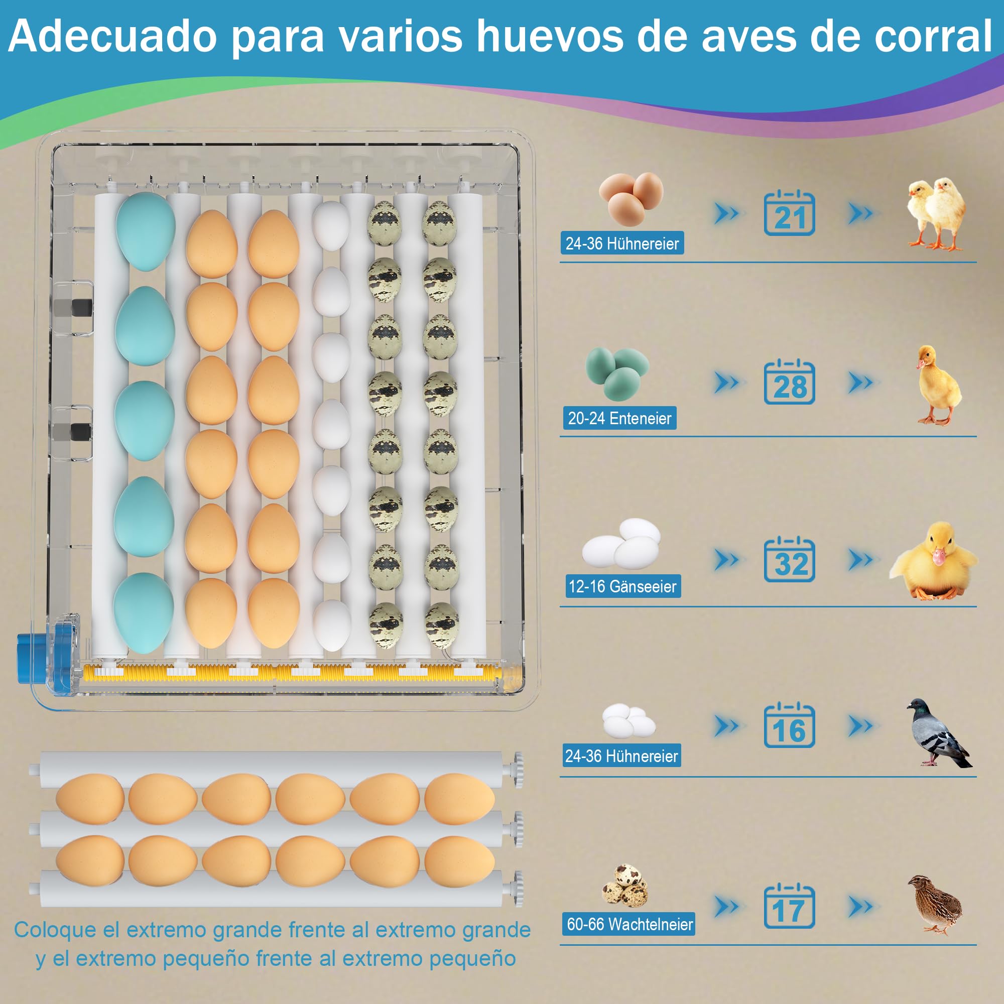 Incubadora de huevos para incubar pollos con control de temperatura y giro automático (azul, 36 huevos)